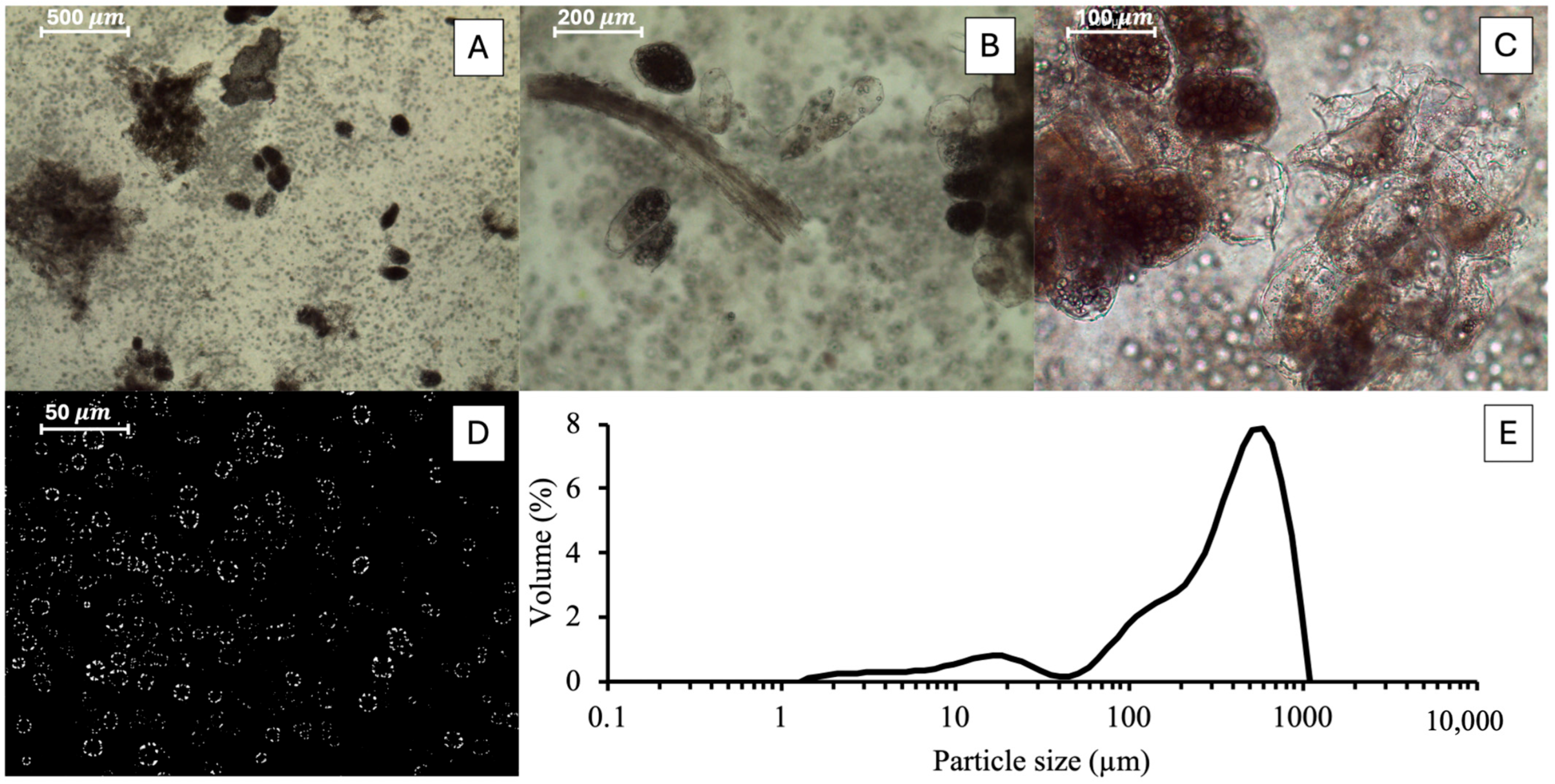 Foods 15 00128 g003 Foods 15 00128 g003