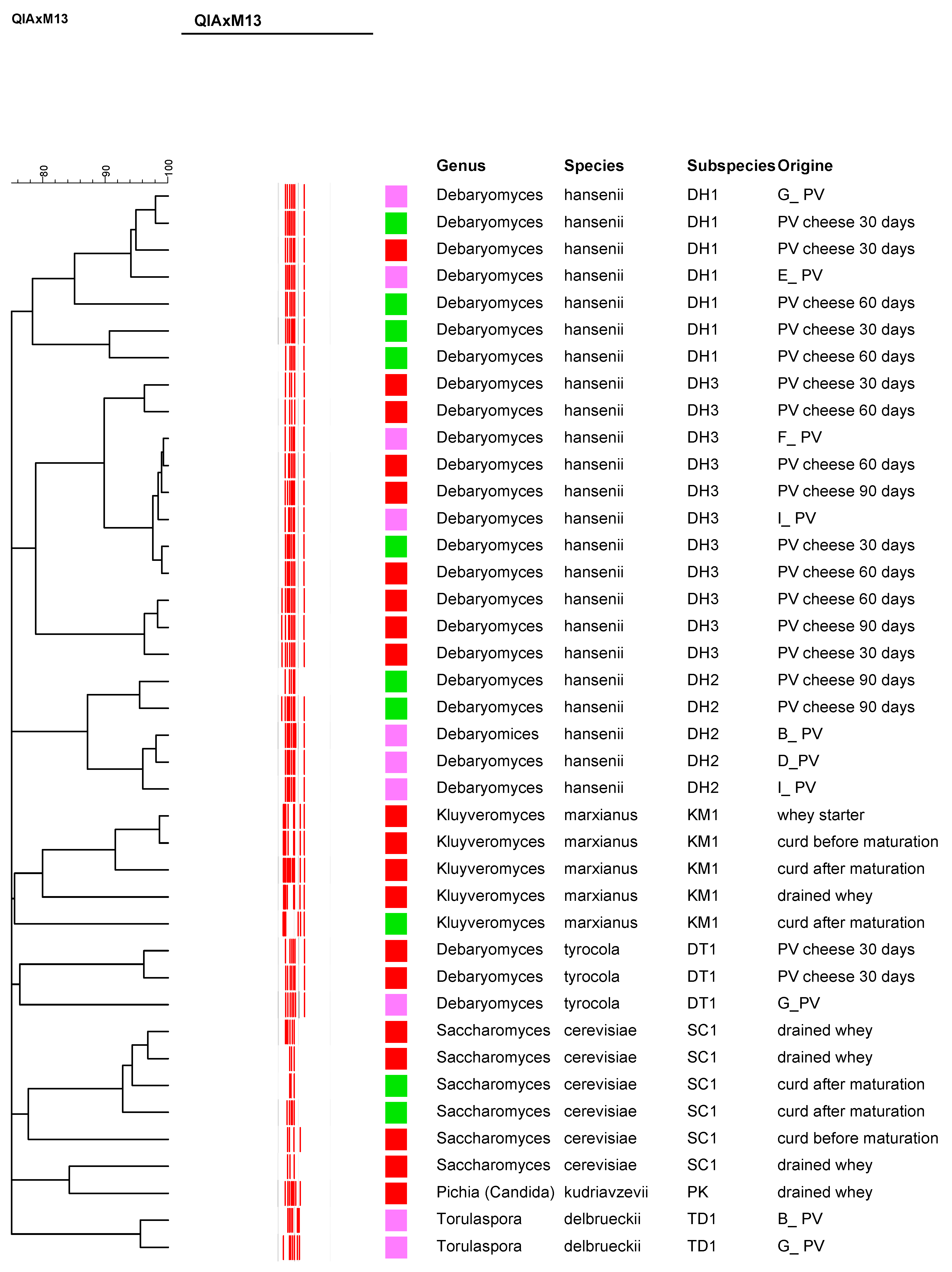 Foods 15 00129 g002 Foods 15 00129 g002