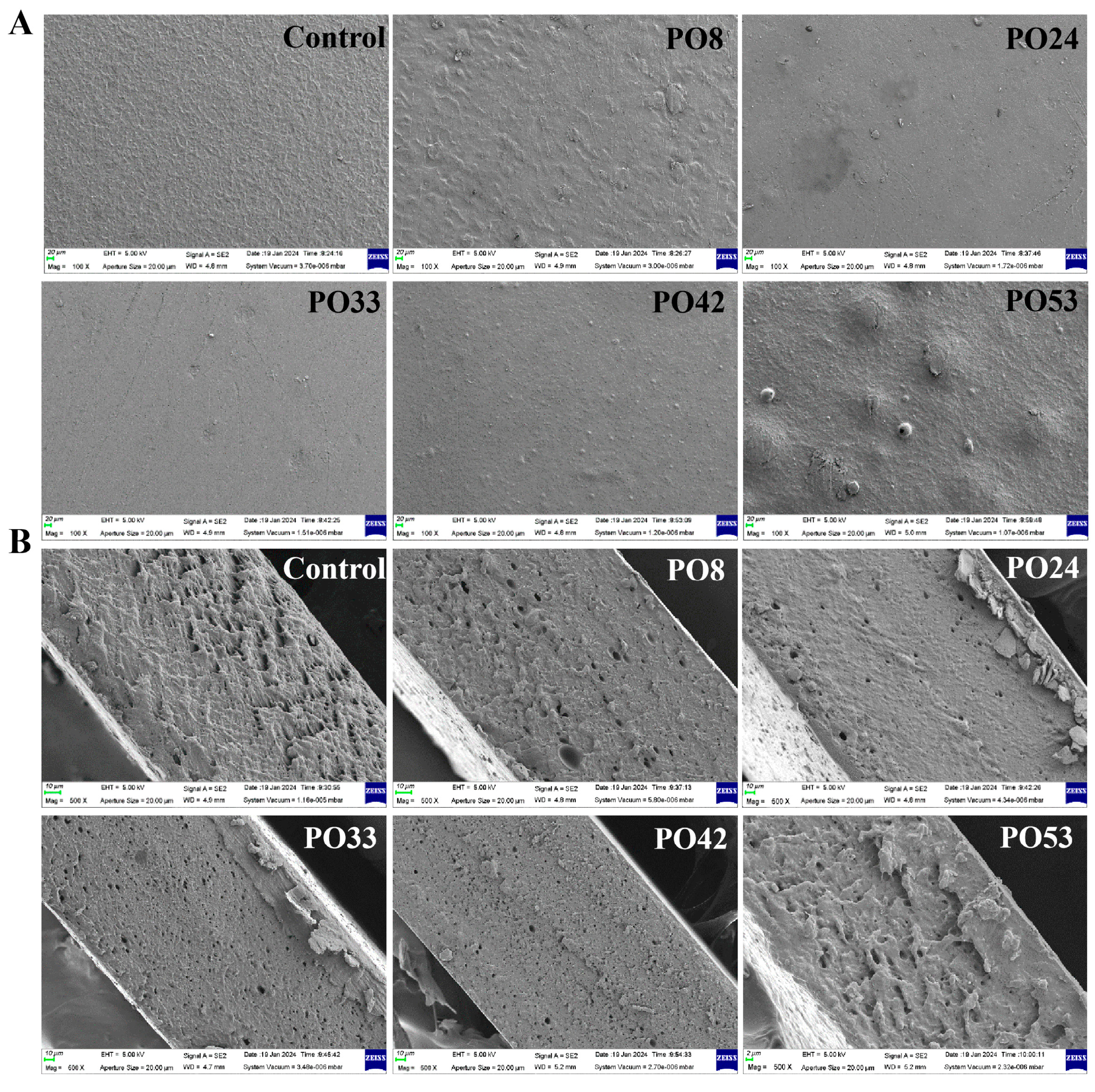 Foods 15 00139 g004 Foods 15 00139 g004