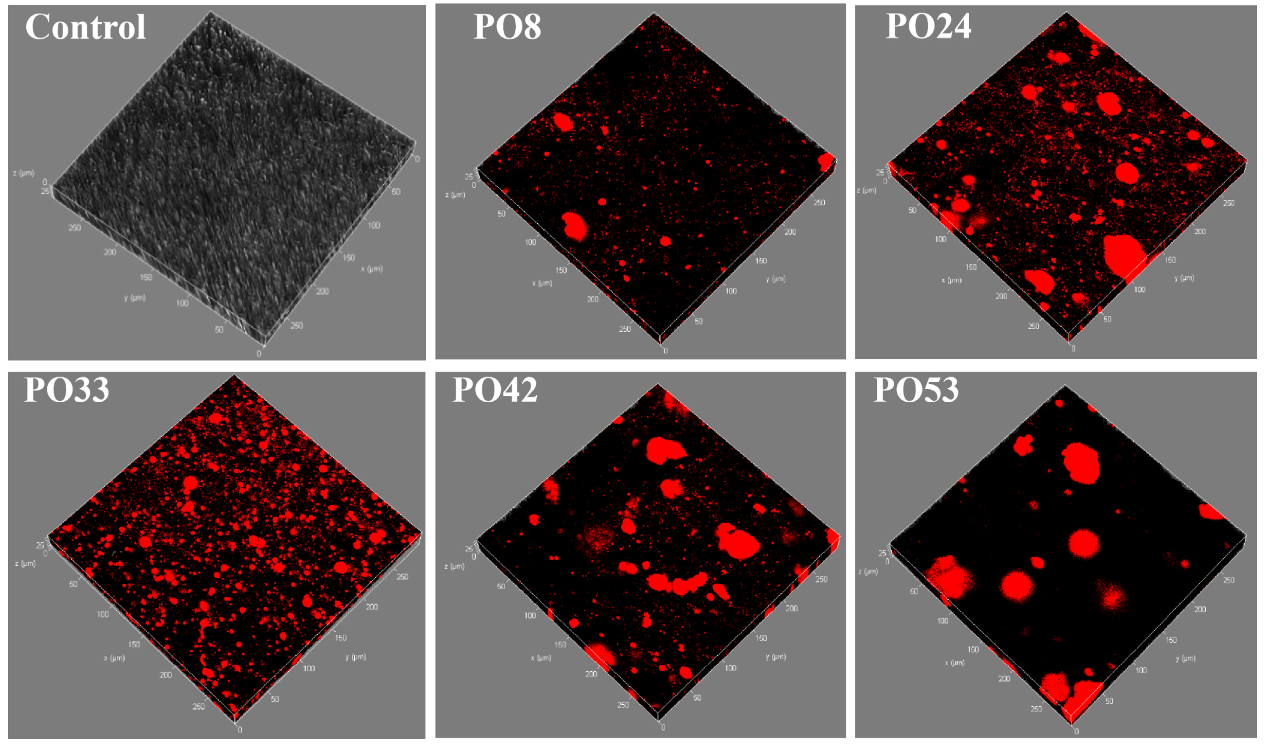 Foods 15 00139 g005 Foods 15 00139 g005