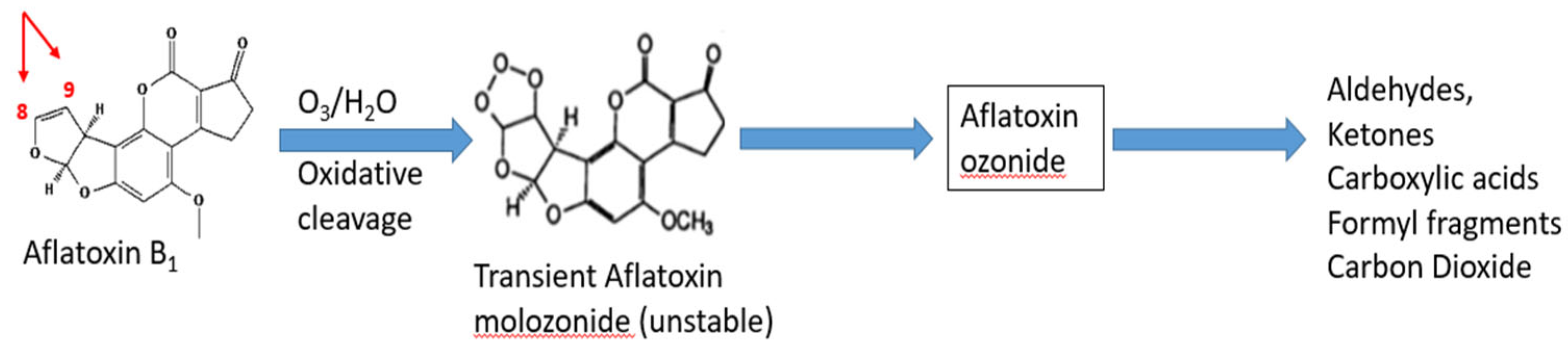 Foods 15 00166 g005 Foods 15 00166 g005