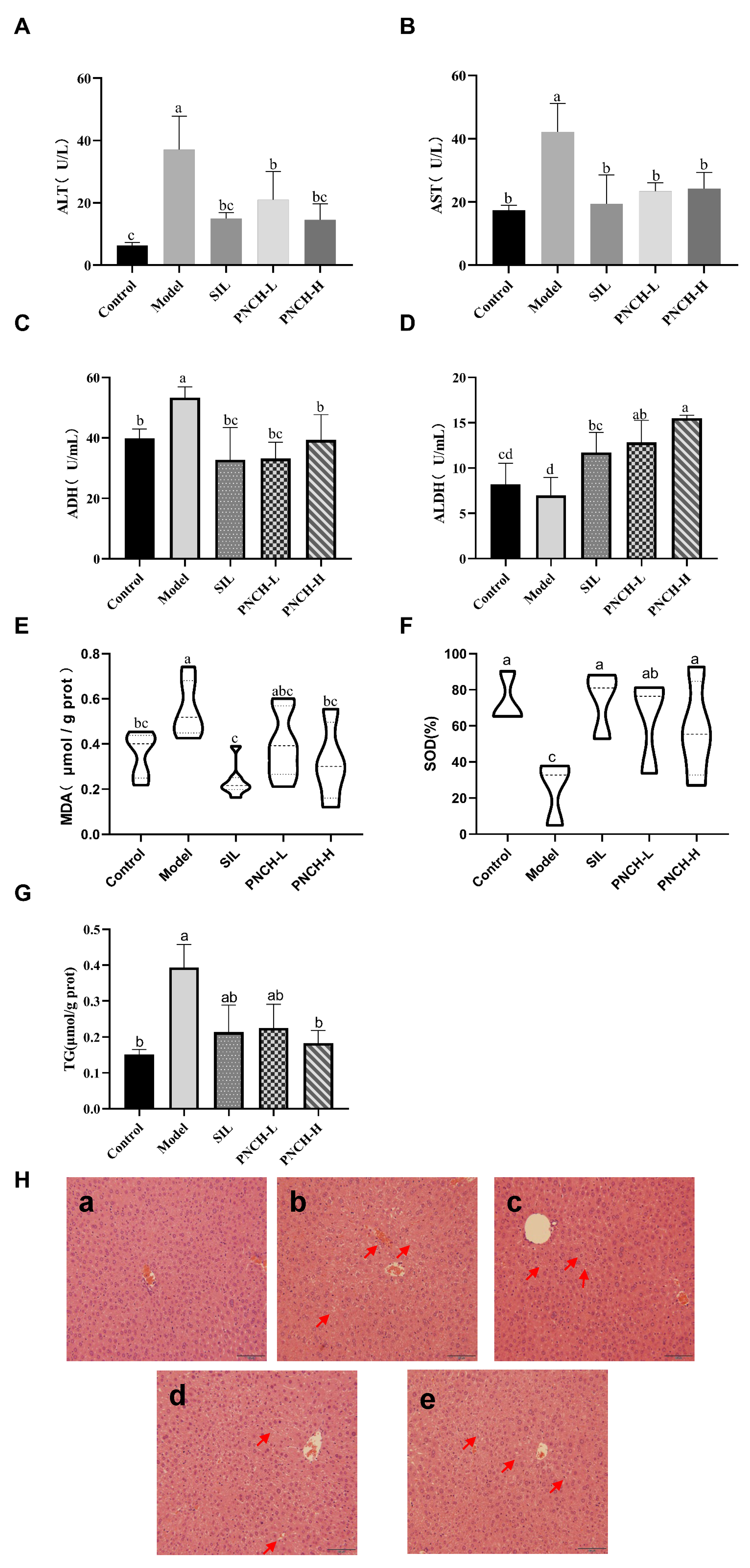Foods 15 00323 g002 Foods 15 00323 g002