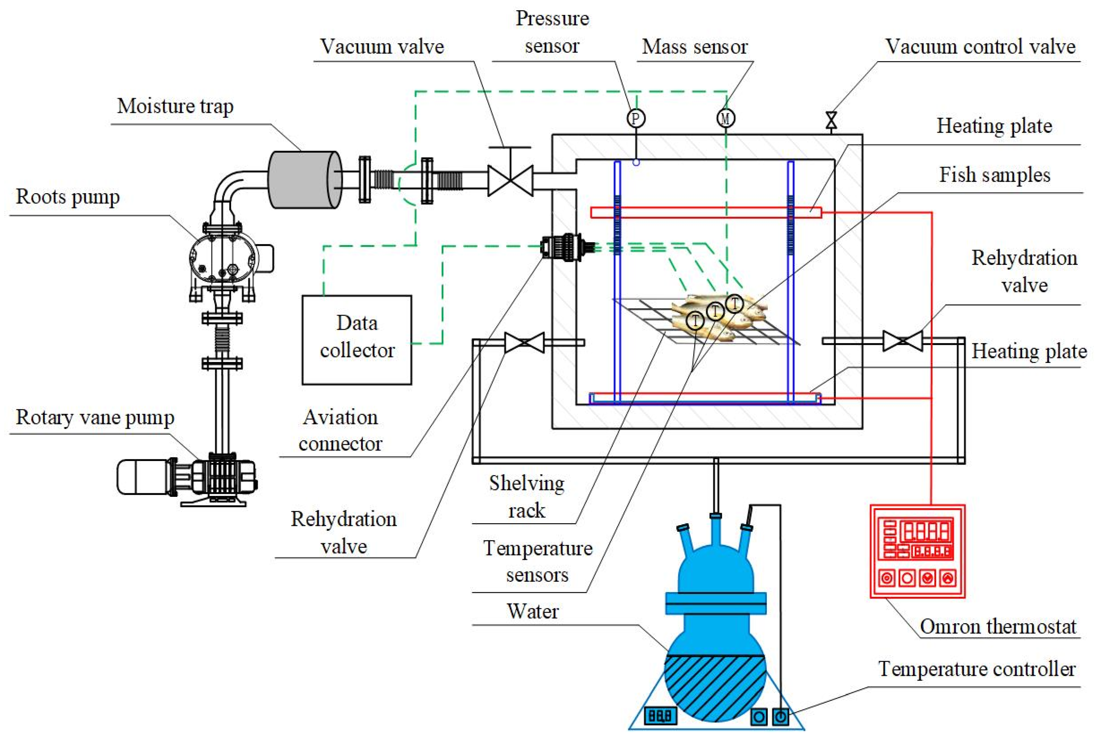 Foods 15 00467 g001 Foods 15 00467 g001