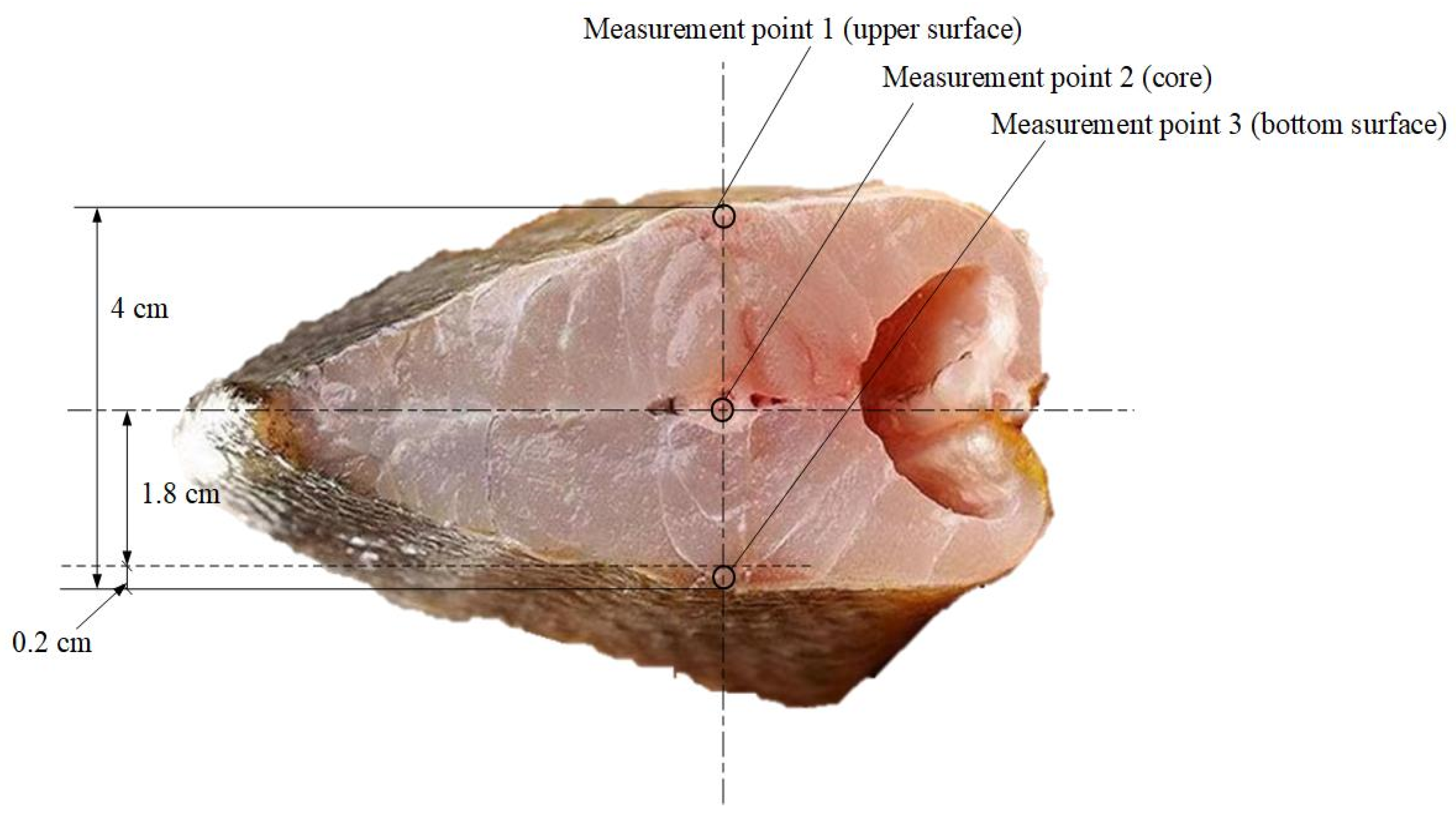 Foods 15 00467 g002 Foods 15 00467 g002