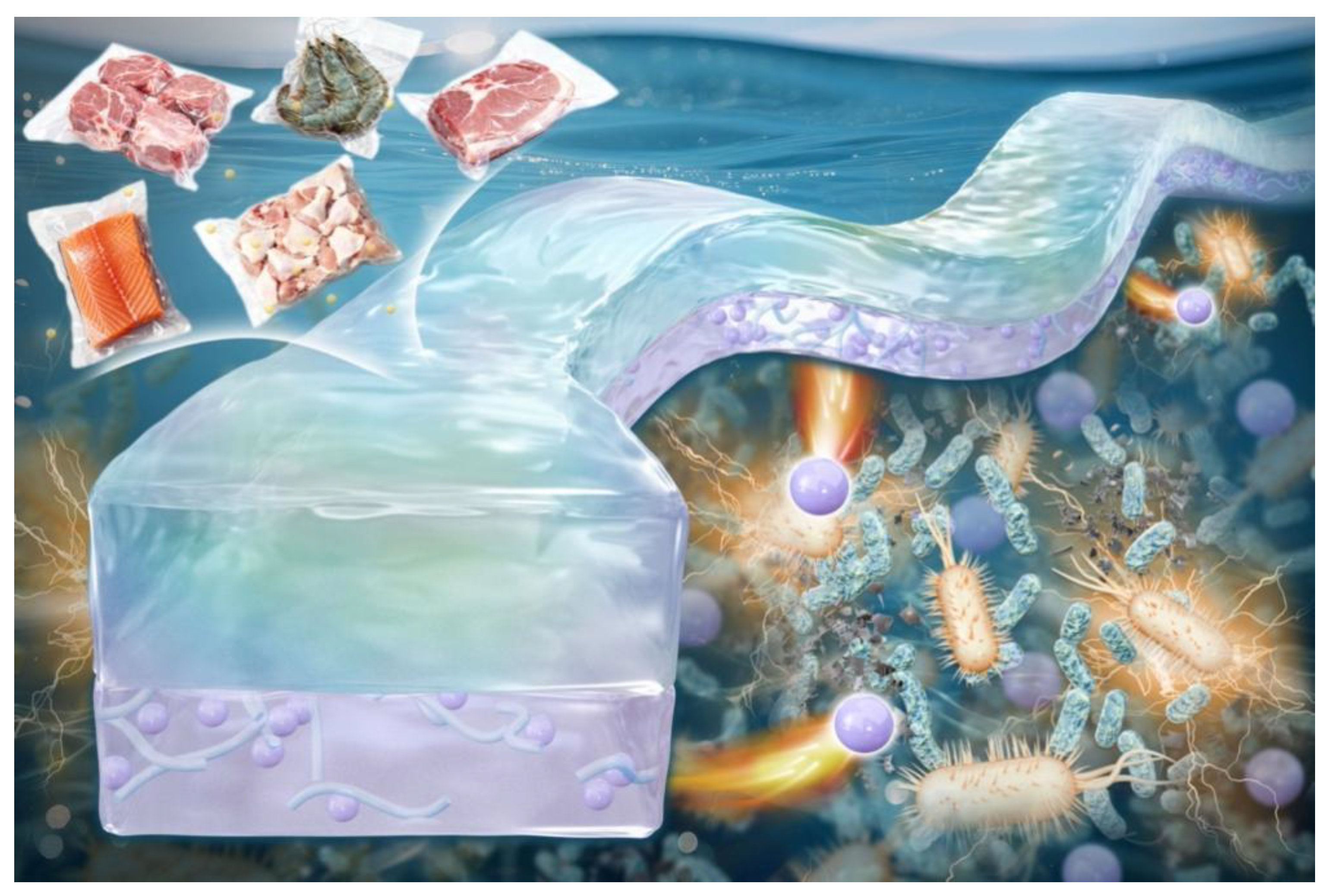 Foods 15 00494 g001 Foods 15 00494 g001