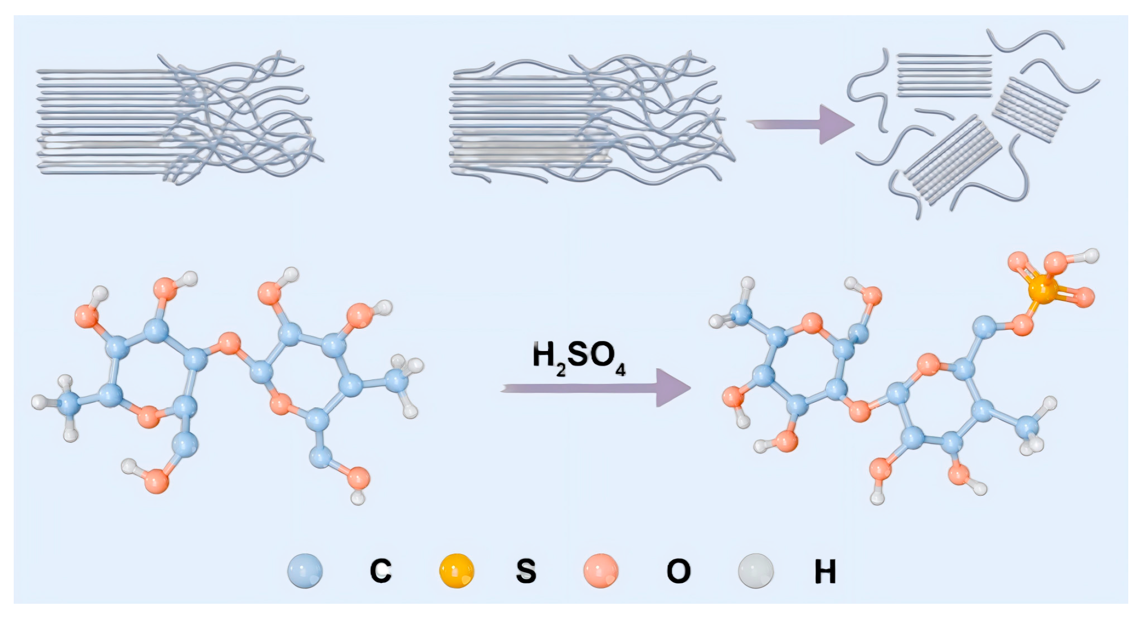 Foods 15 00494 g002 Foods 15 00494 g002