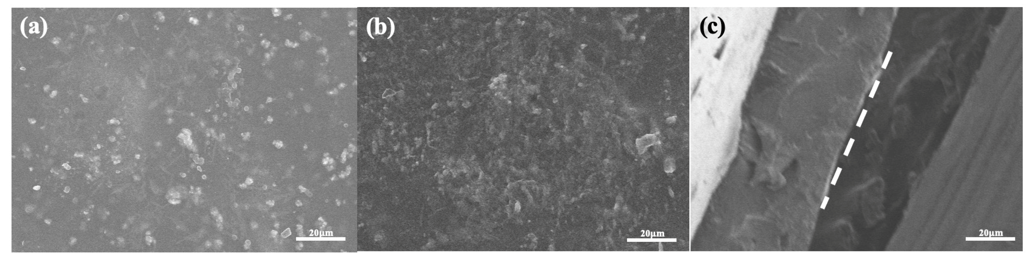 Foods 15 00494 g015 Foods 15 00494 g015