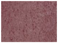 Foods 15 00494 i003 Foods 15 00494 i003