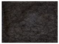 Foods 15 00494 i008 Foods 15 00494 i008