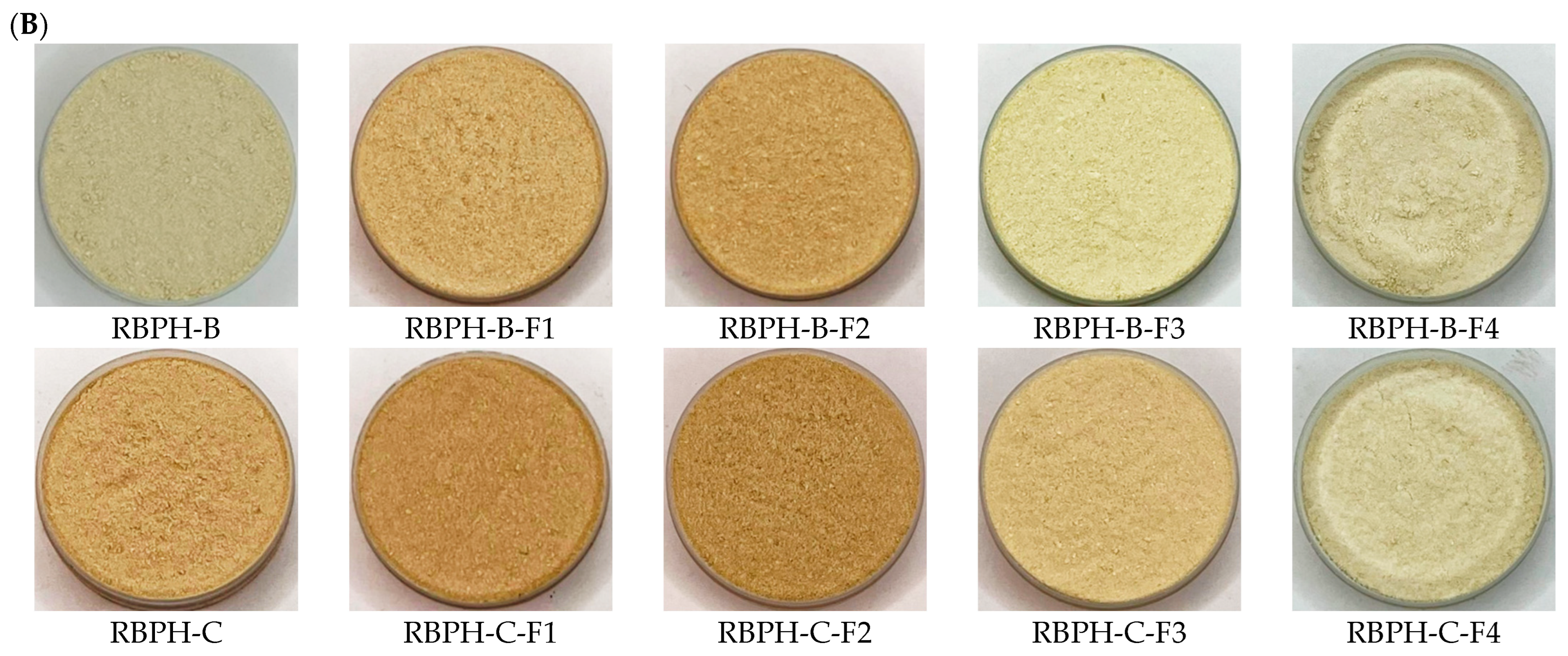 Foods 15 00516 g001b