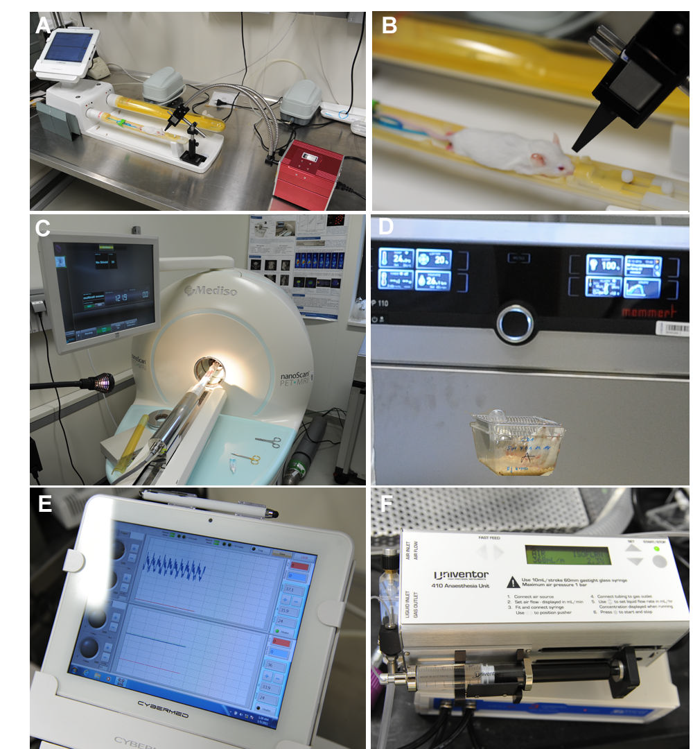 Forecasting 01 00010 g001