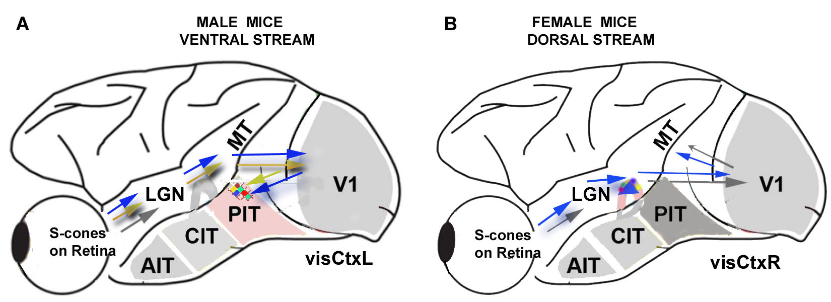 Forecasting 01 00010 g006