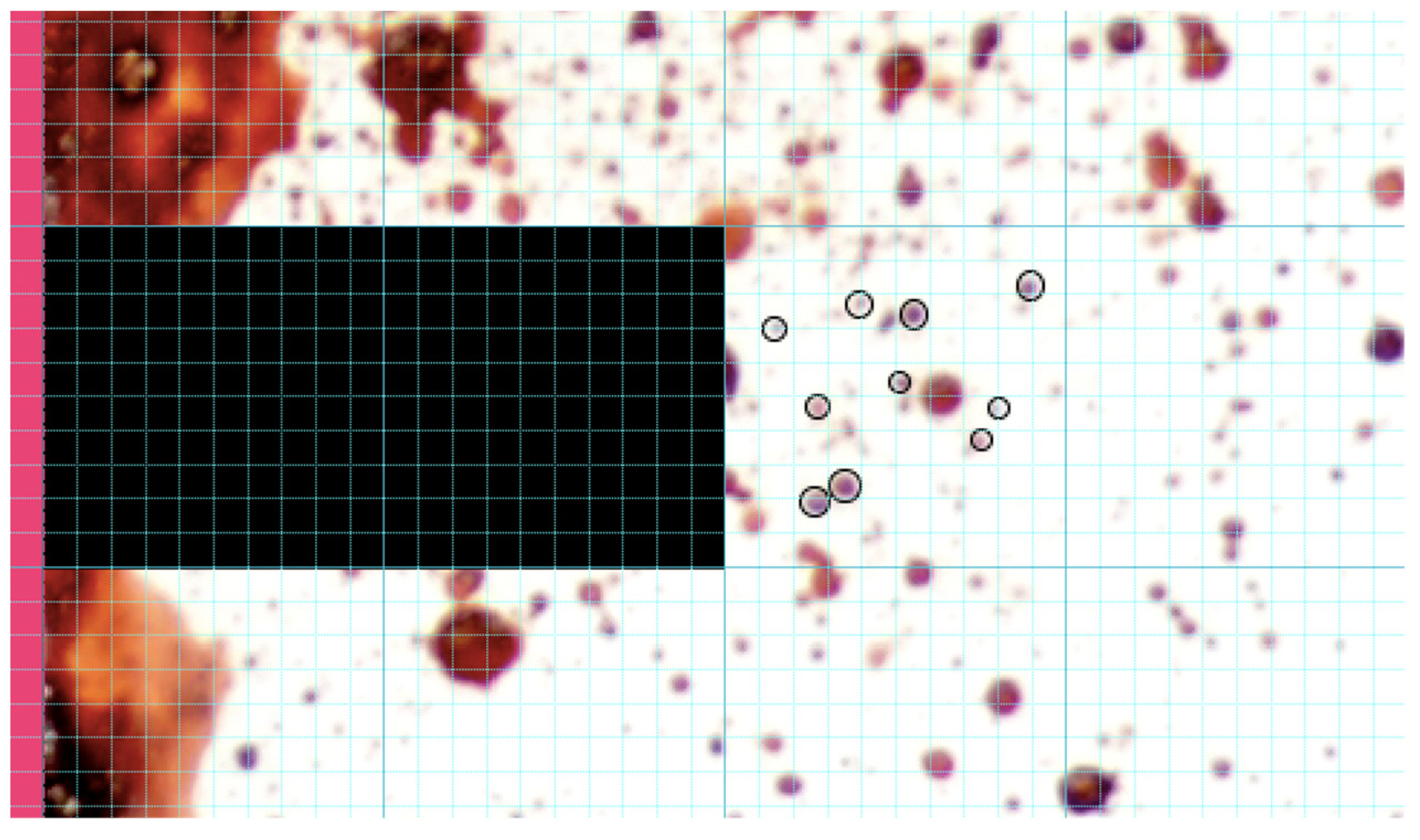 Forensicsci 01 00009 g008