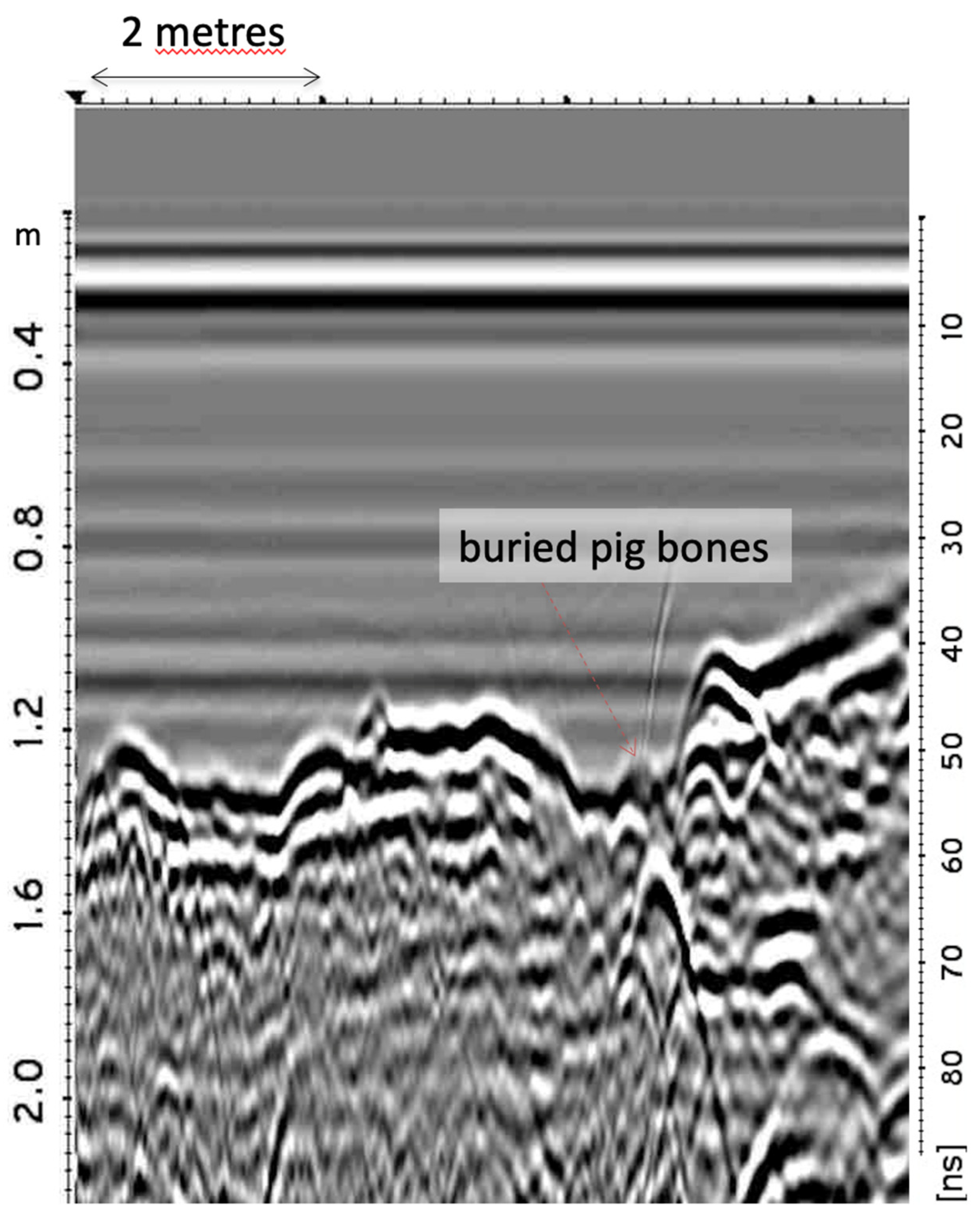 Forensicsci 01 00012 g005