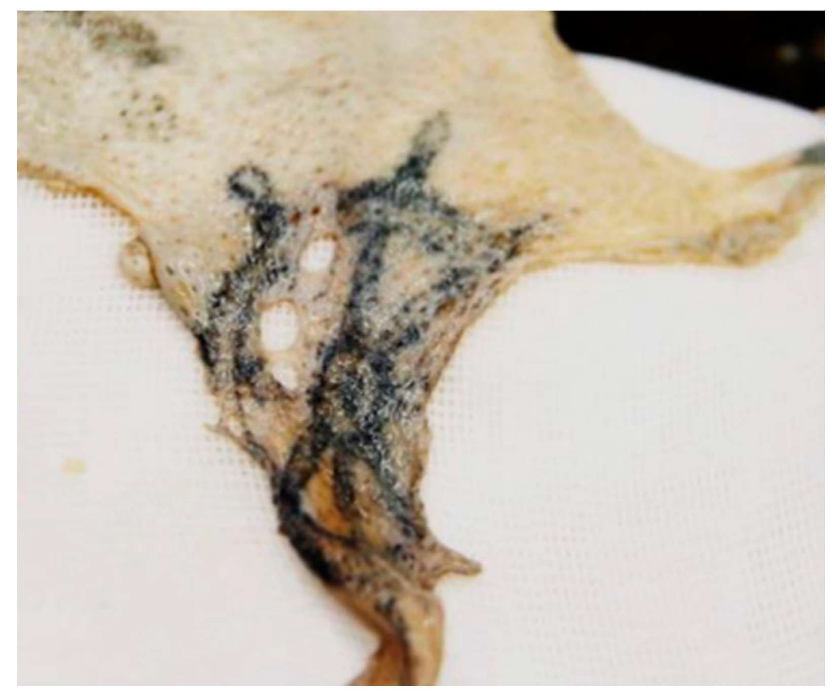 Forensicsci 01 00013 g003 550