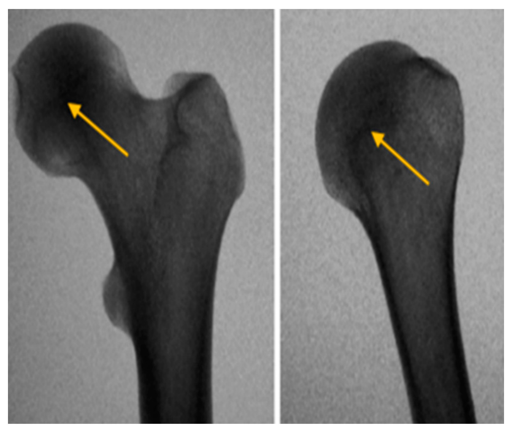 Forensicsci 01 00013 g006 550