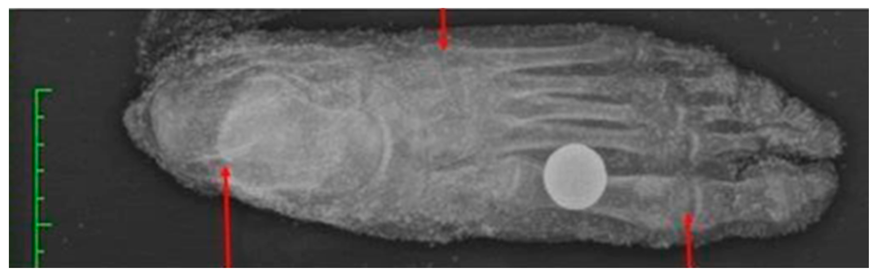 Forensicsci 01 00013 g007 550