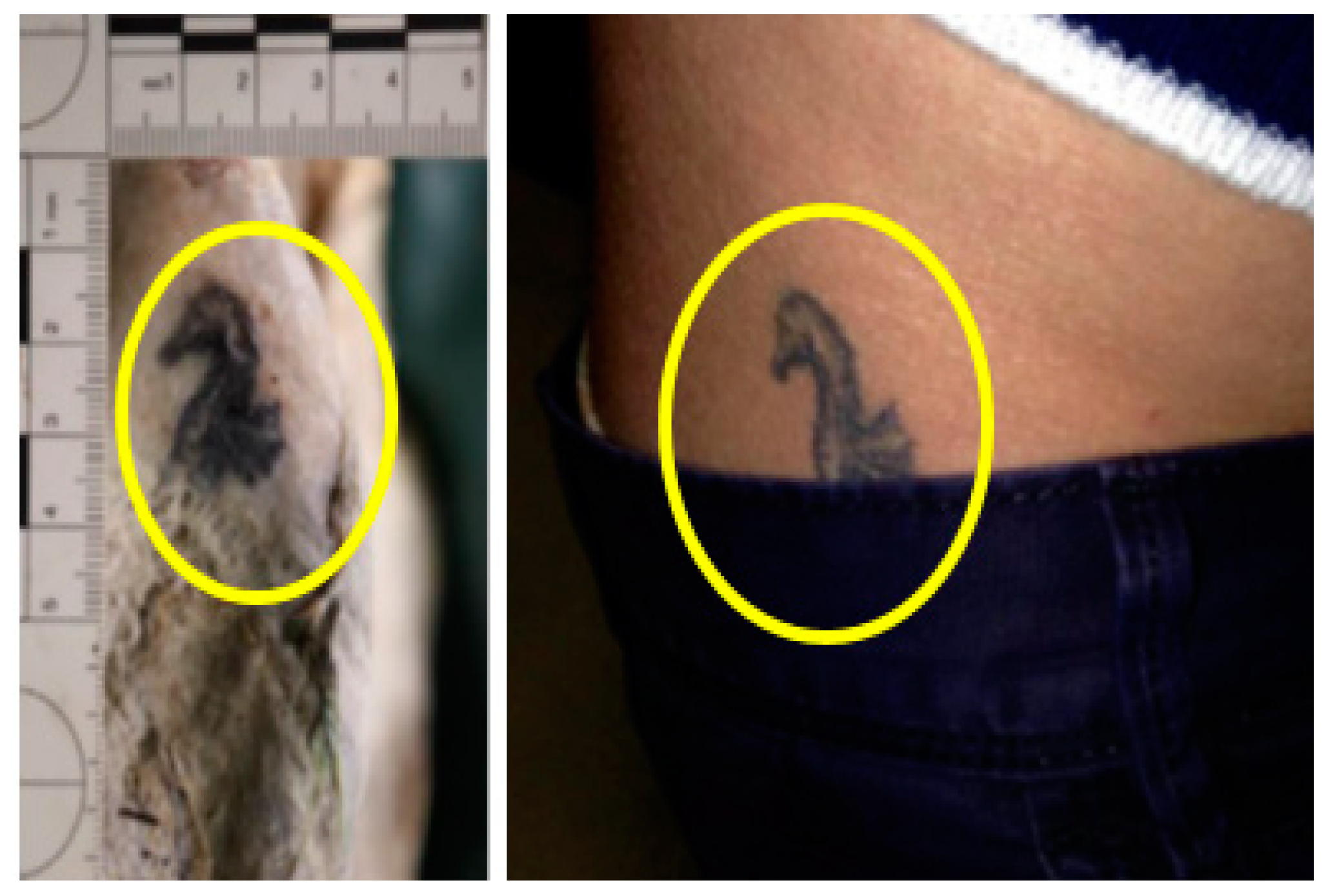 Forensicsci 01 00013 g008 550