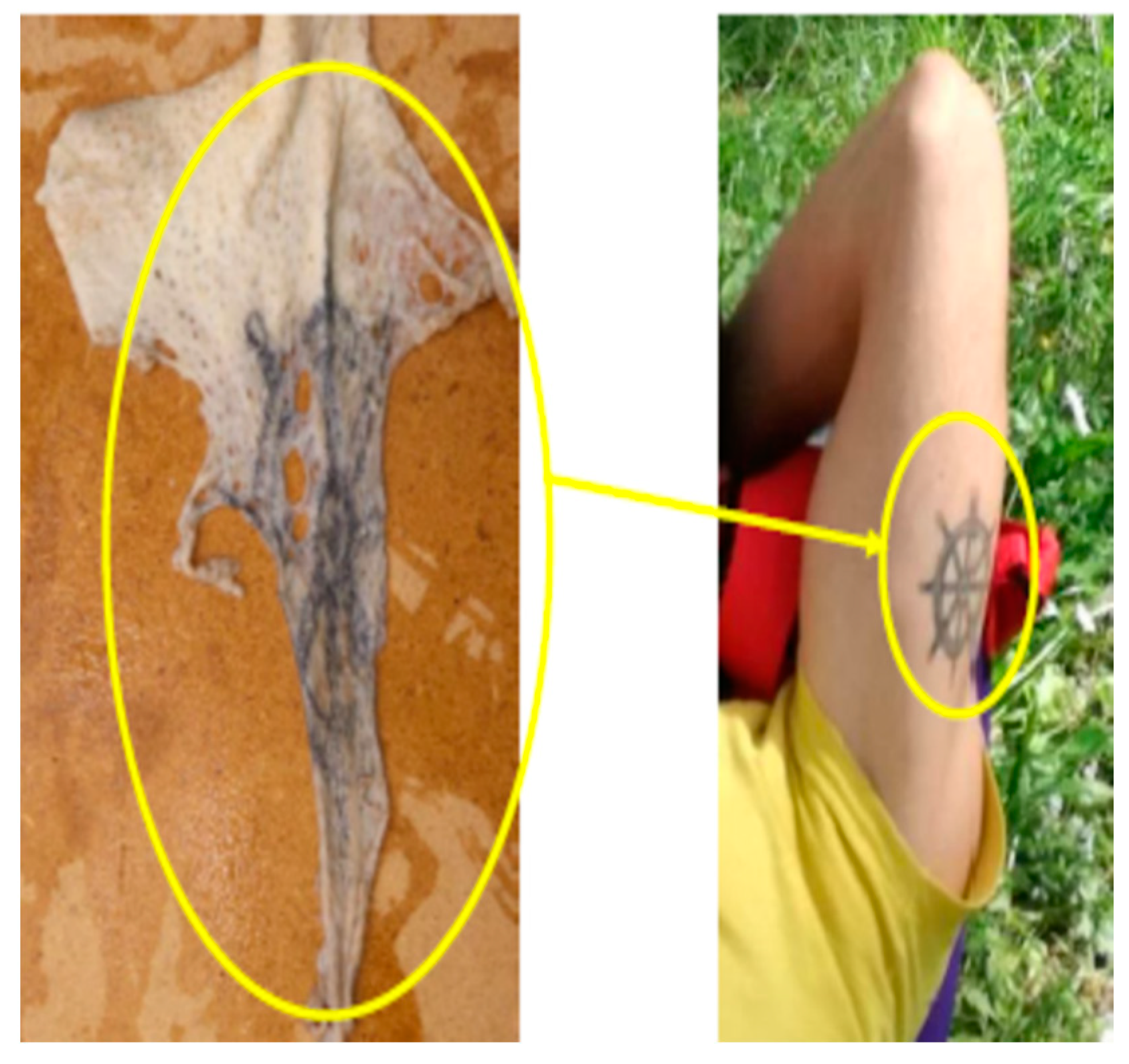 Forensicsci 01 00013 g009 550