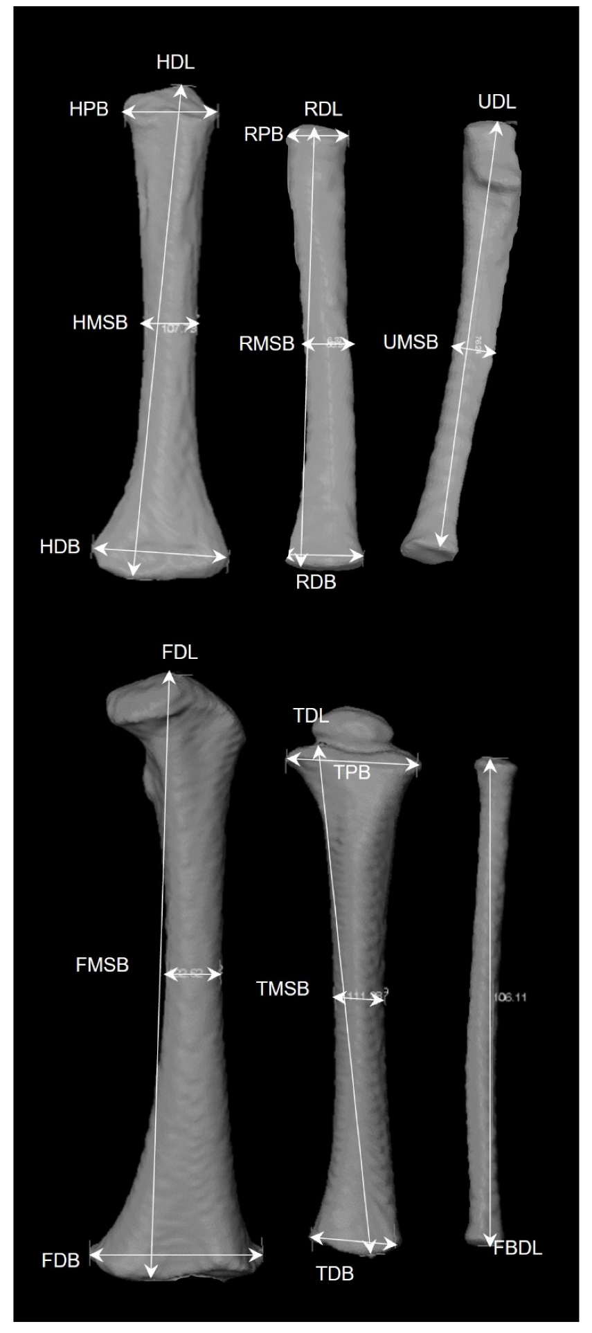 Forensicsci 02 00003 g006