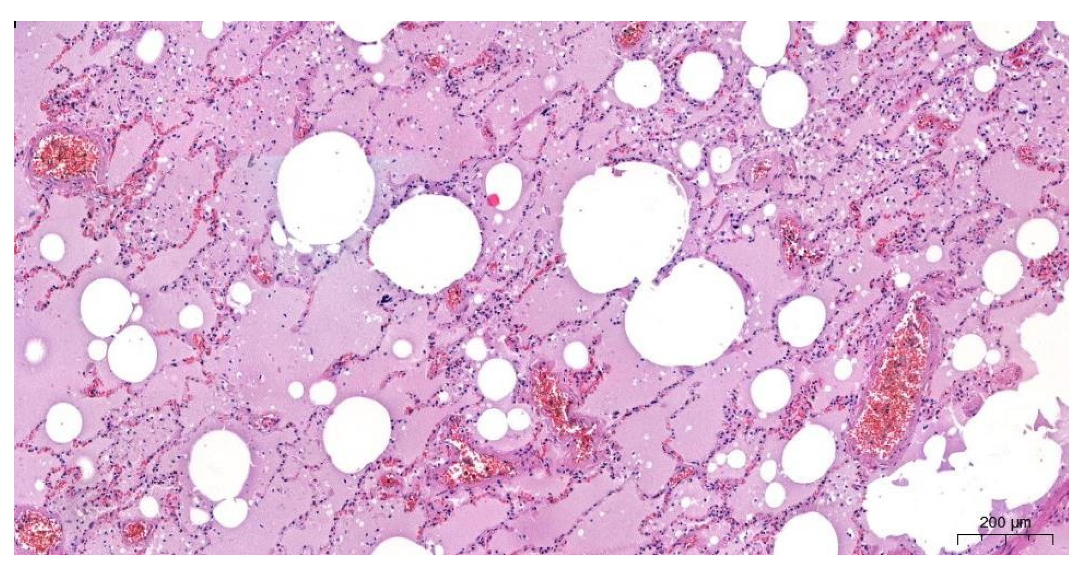 Forensicsci 02 00011 g005