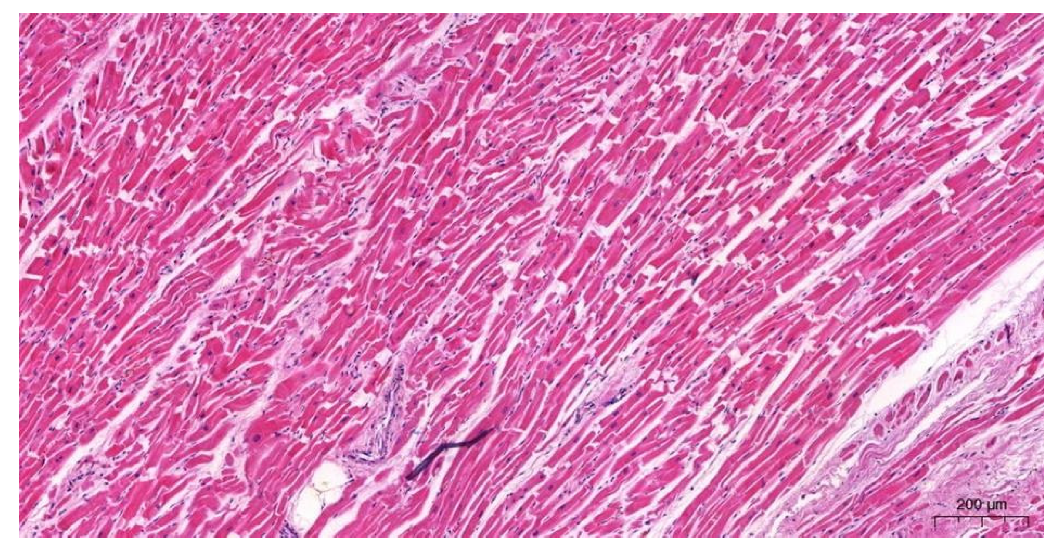 Forensicsci 02 00011 g006