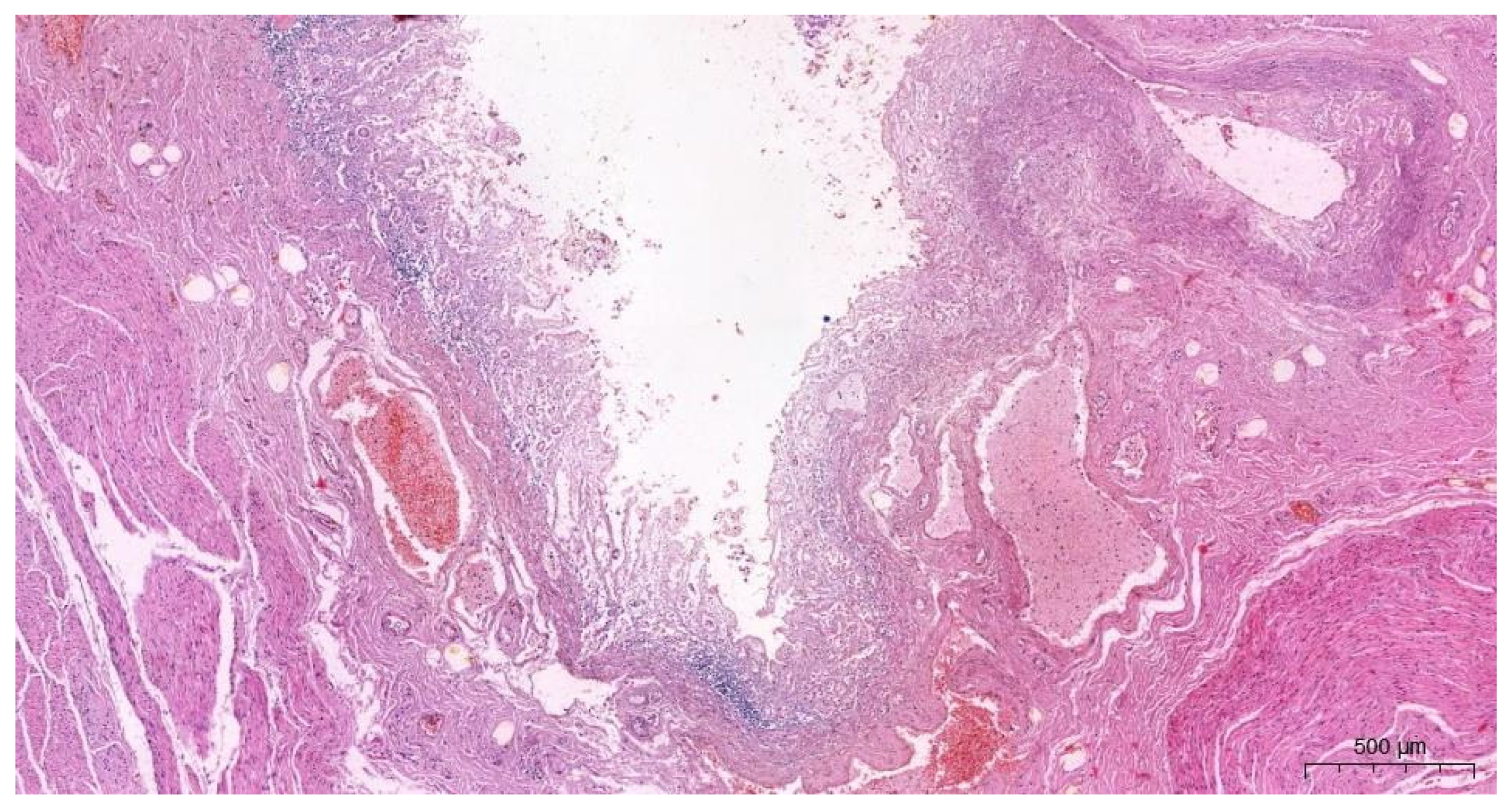 Forensicsci 02 00011 g008