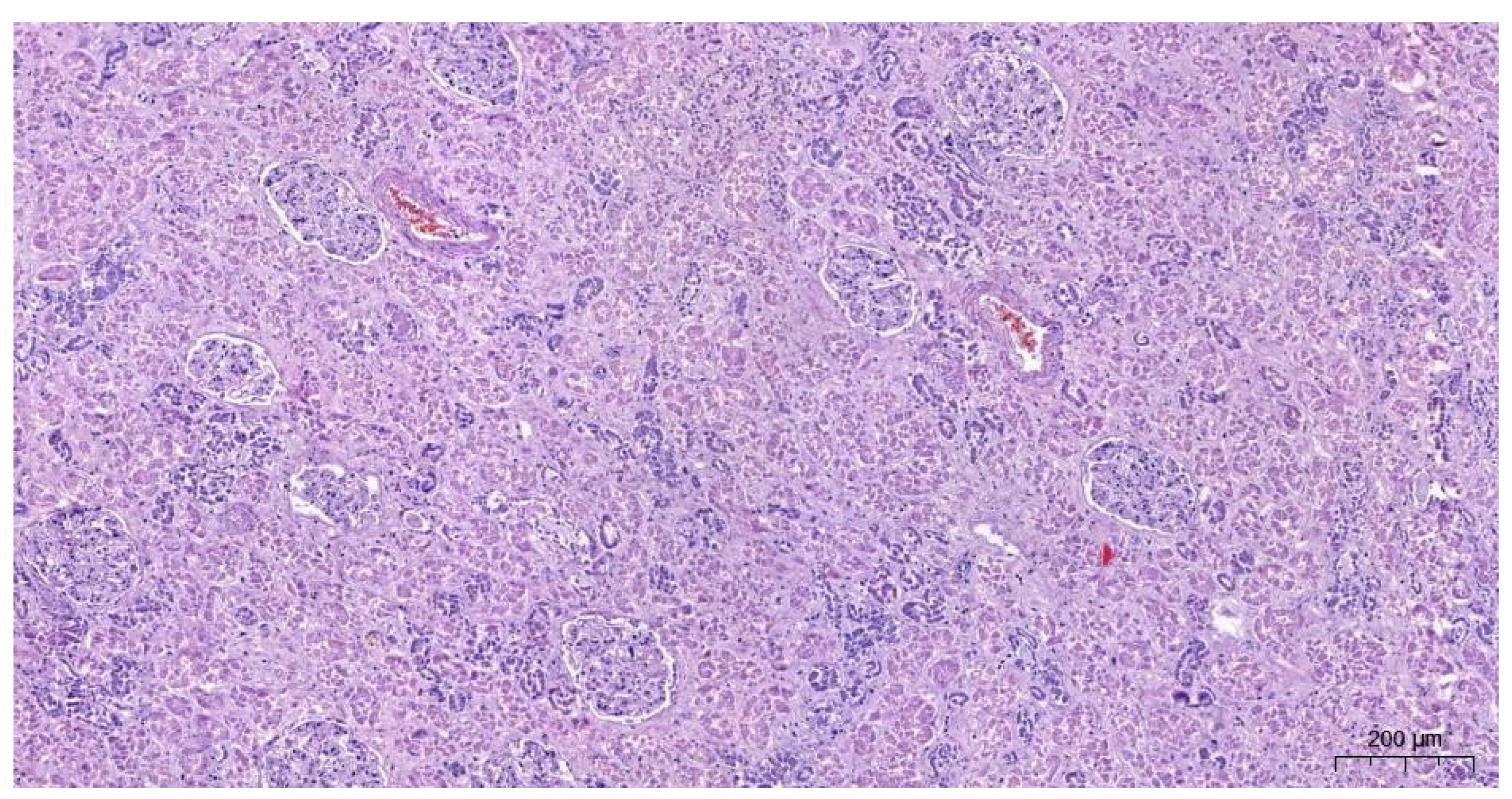 Forensicsci 02 00011 g009