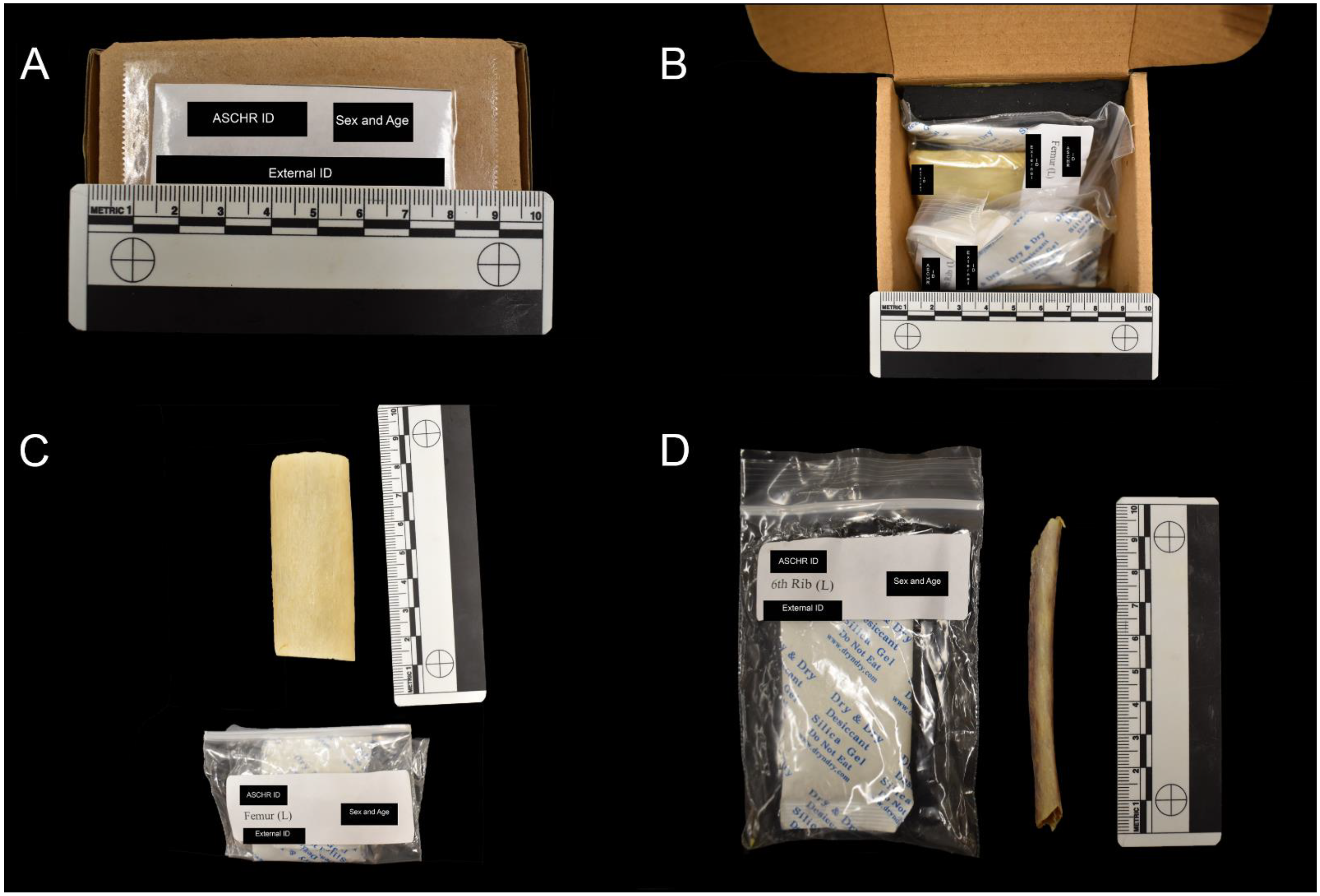 Forensicsci 02 00014 g001