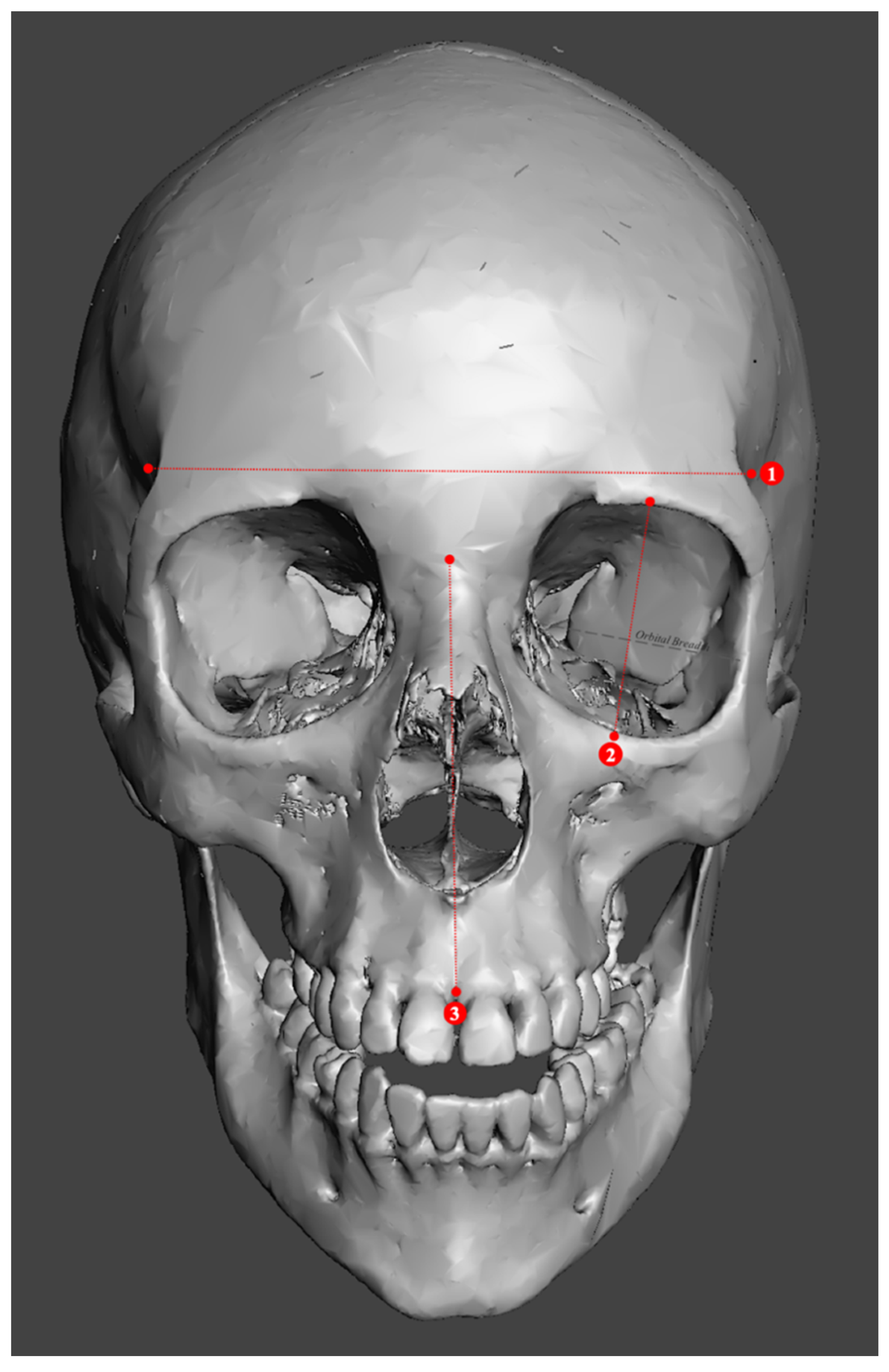 Forensicsci 02 00024 g004