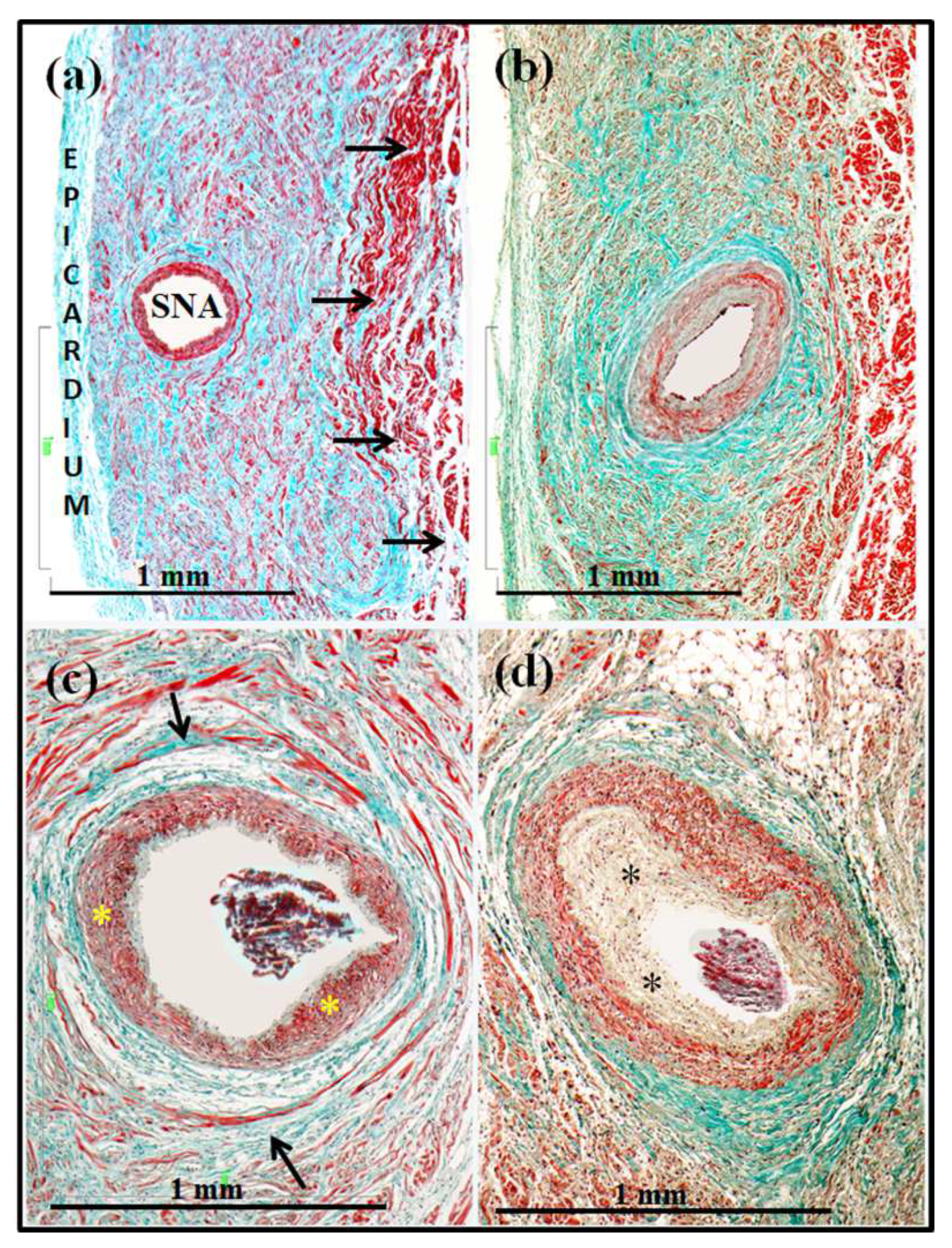 Forensicsci 02 00032 g001 Forensicsci 02 00032 g001