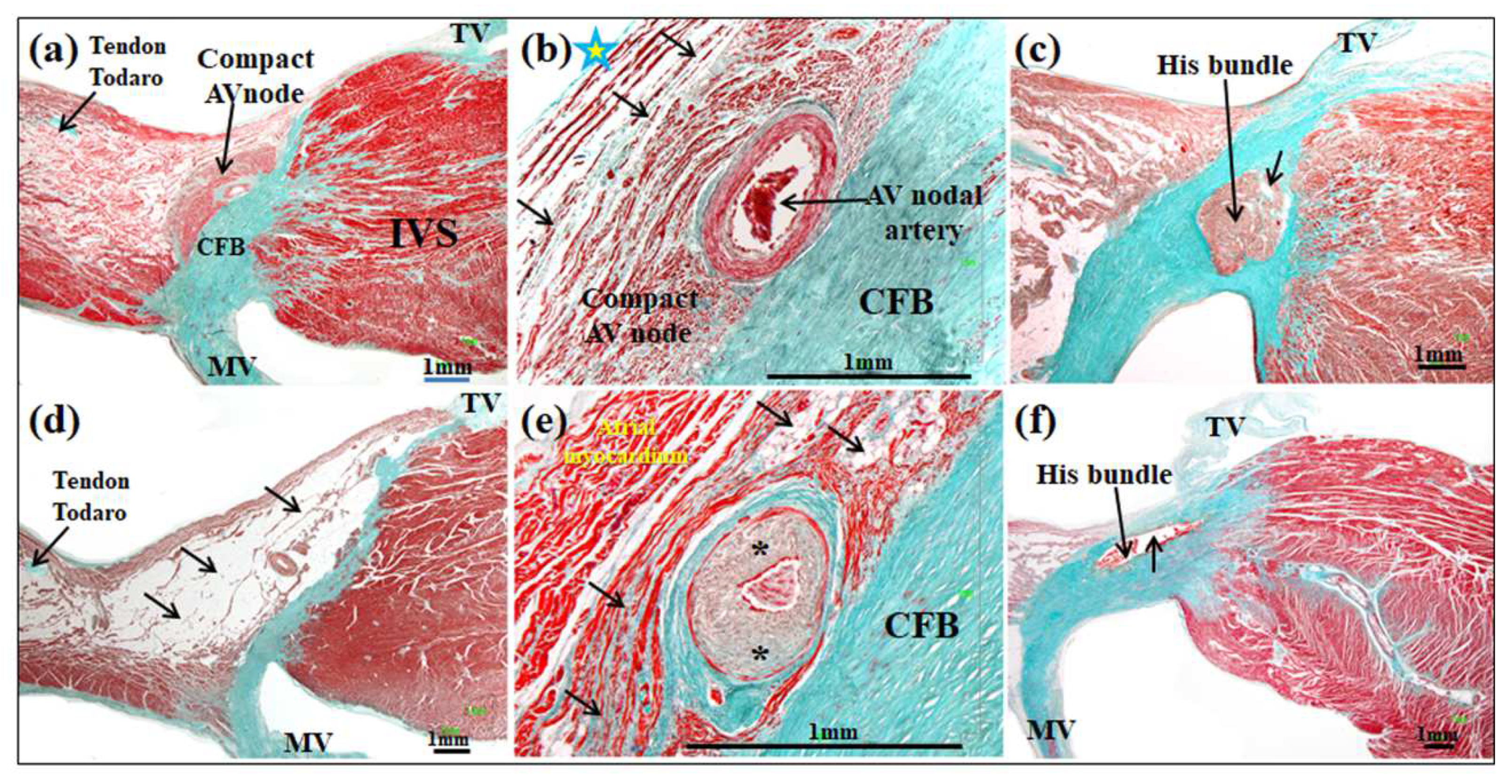 Forensicsci 02 00032 g002 Forensicsci 02 00032 g002