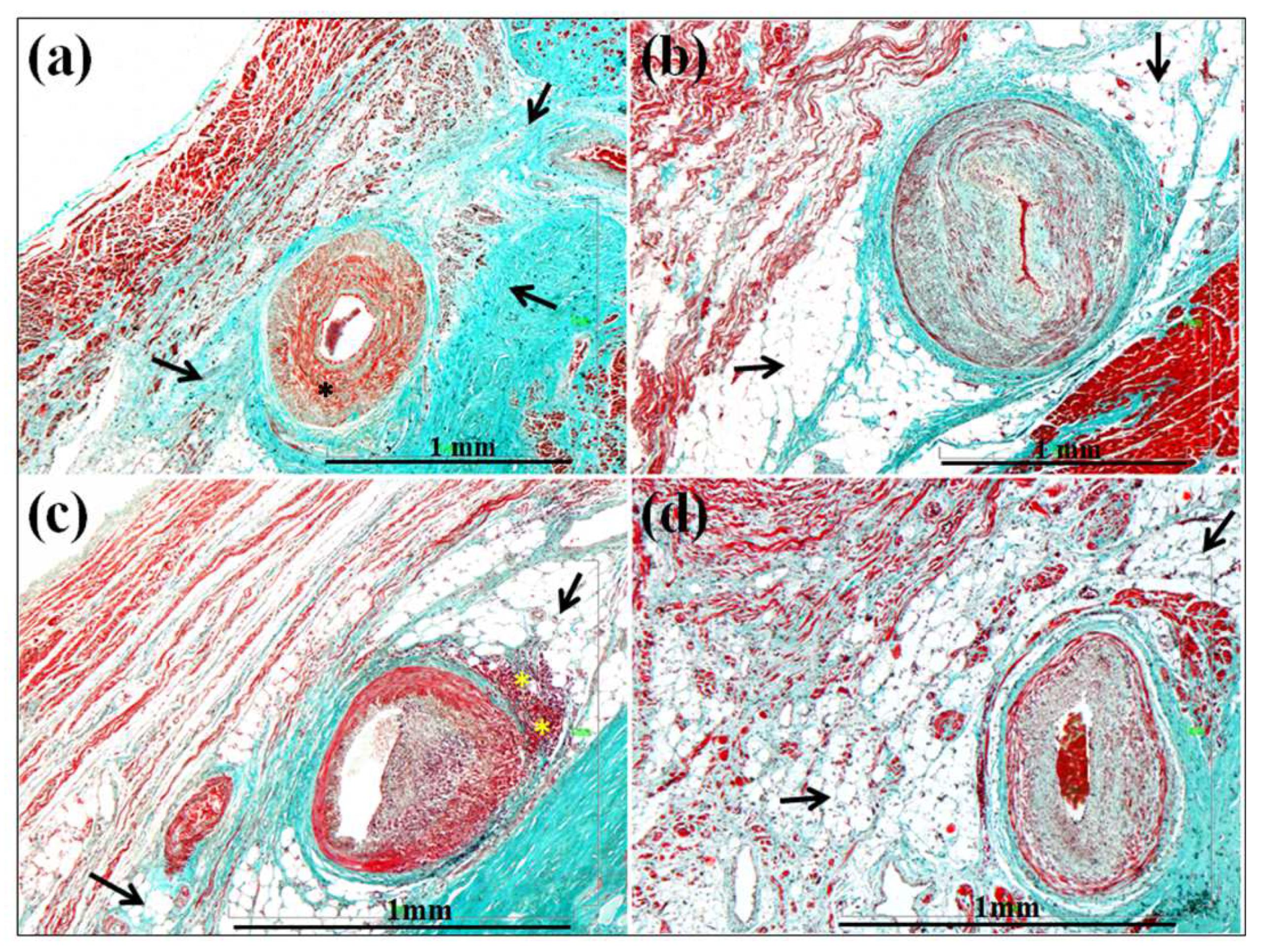 Forensicsci 02 00032 g003 Forensicsci 02 00032 g003