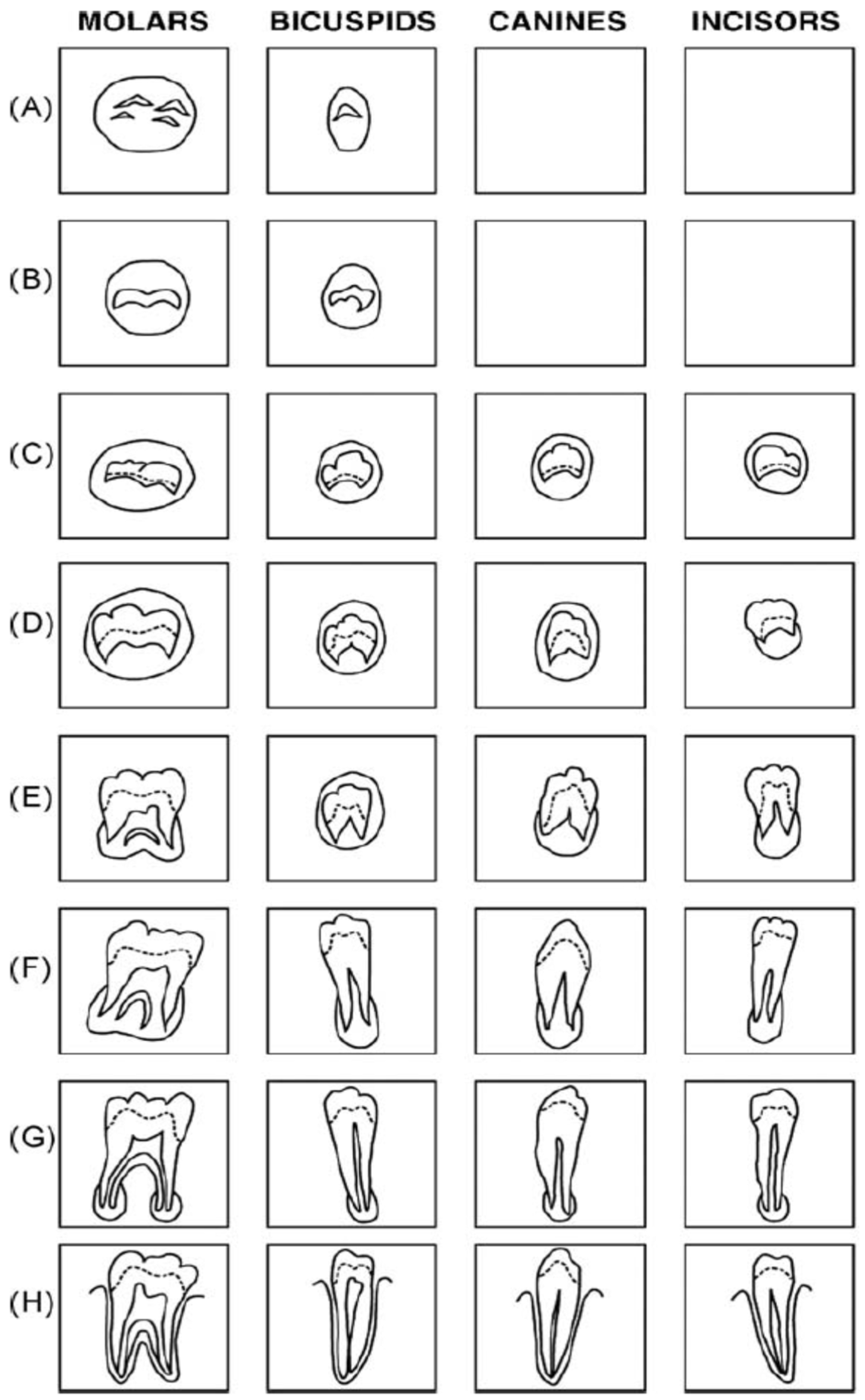 Forensicsci 02 00041 g001 Forensicsci 02 00041 g001