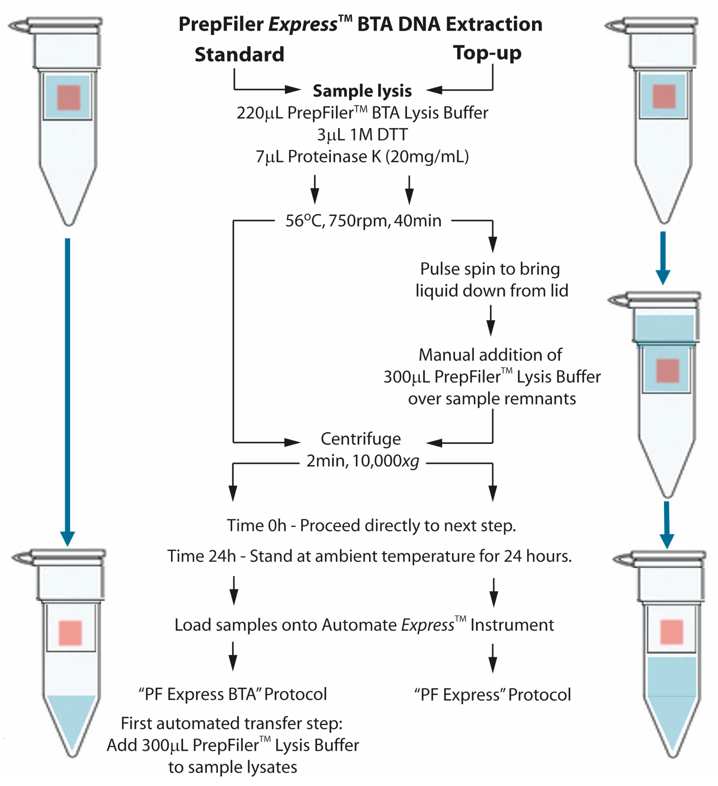 Bta Dna Extraction Kit With