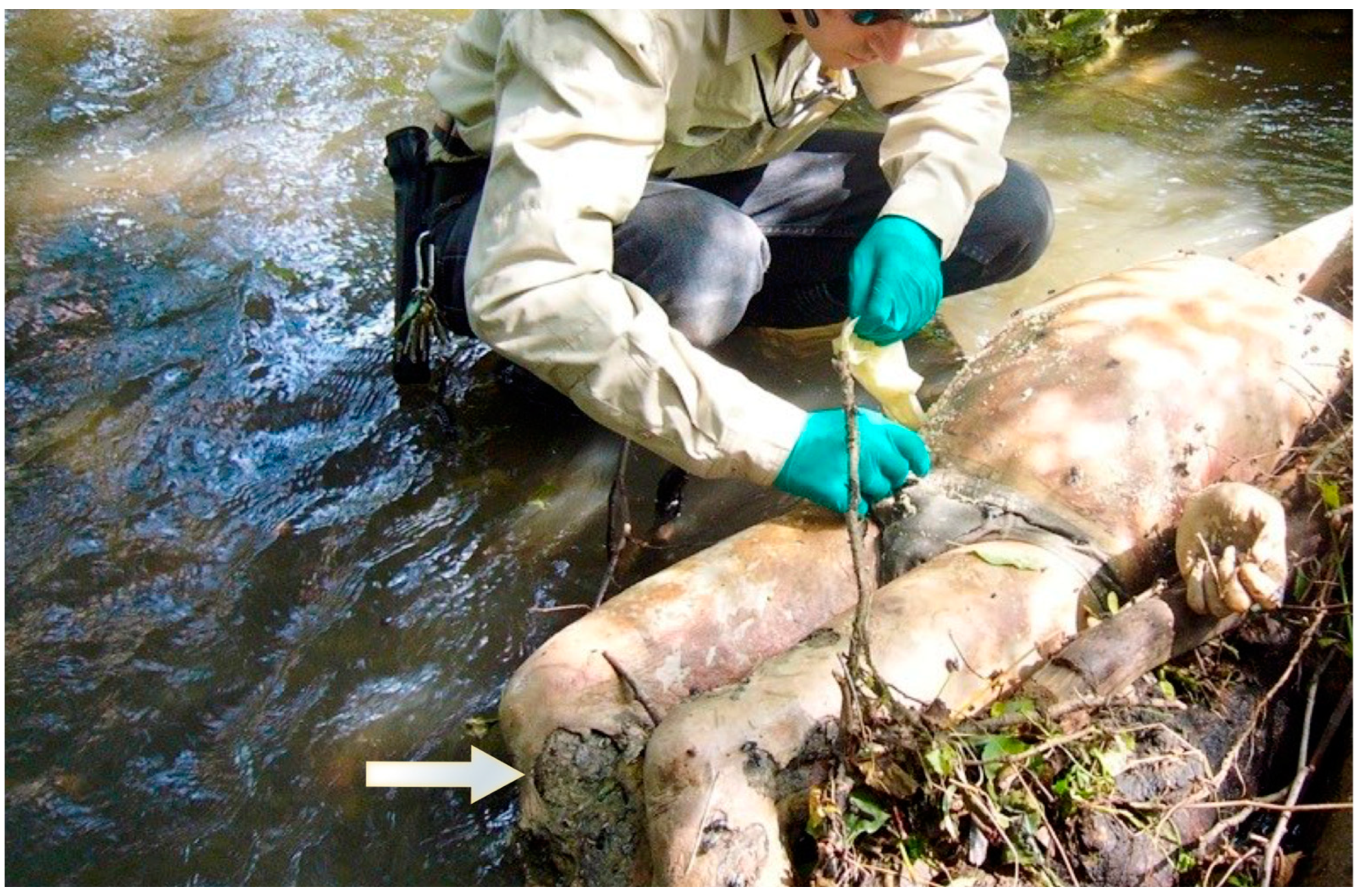 Forensicsci 02 00054 g001