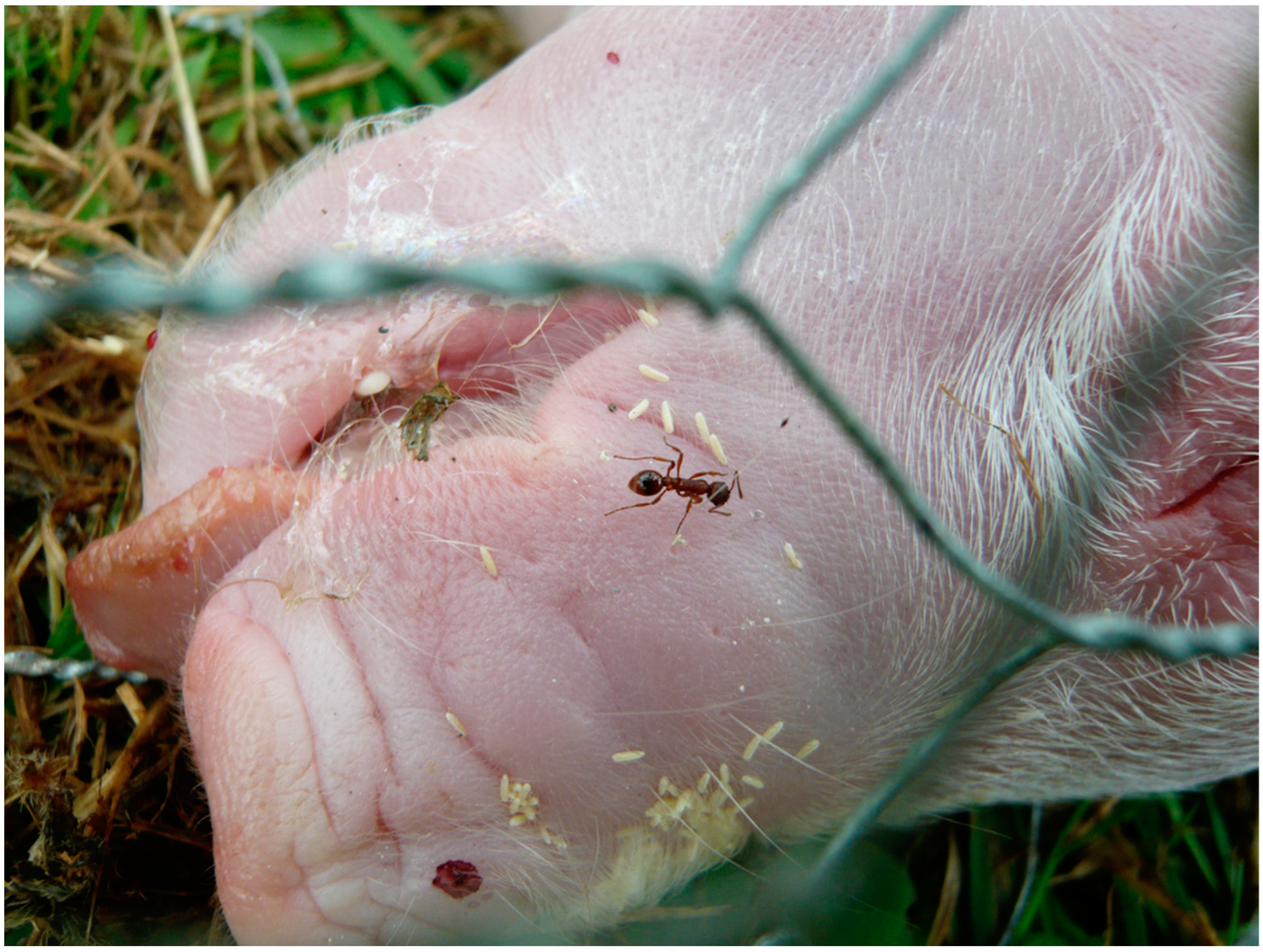 Forensicsci 02 00054 g003