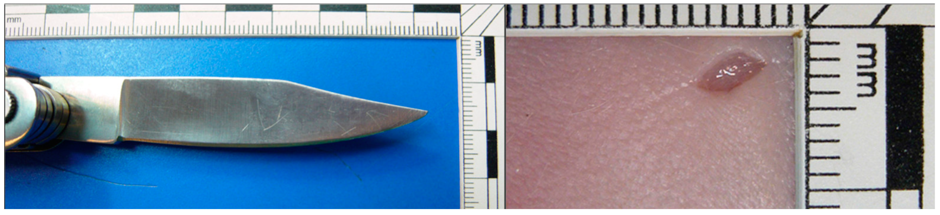 Forensicsci 02 00054 g008