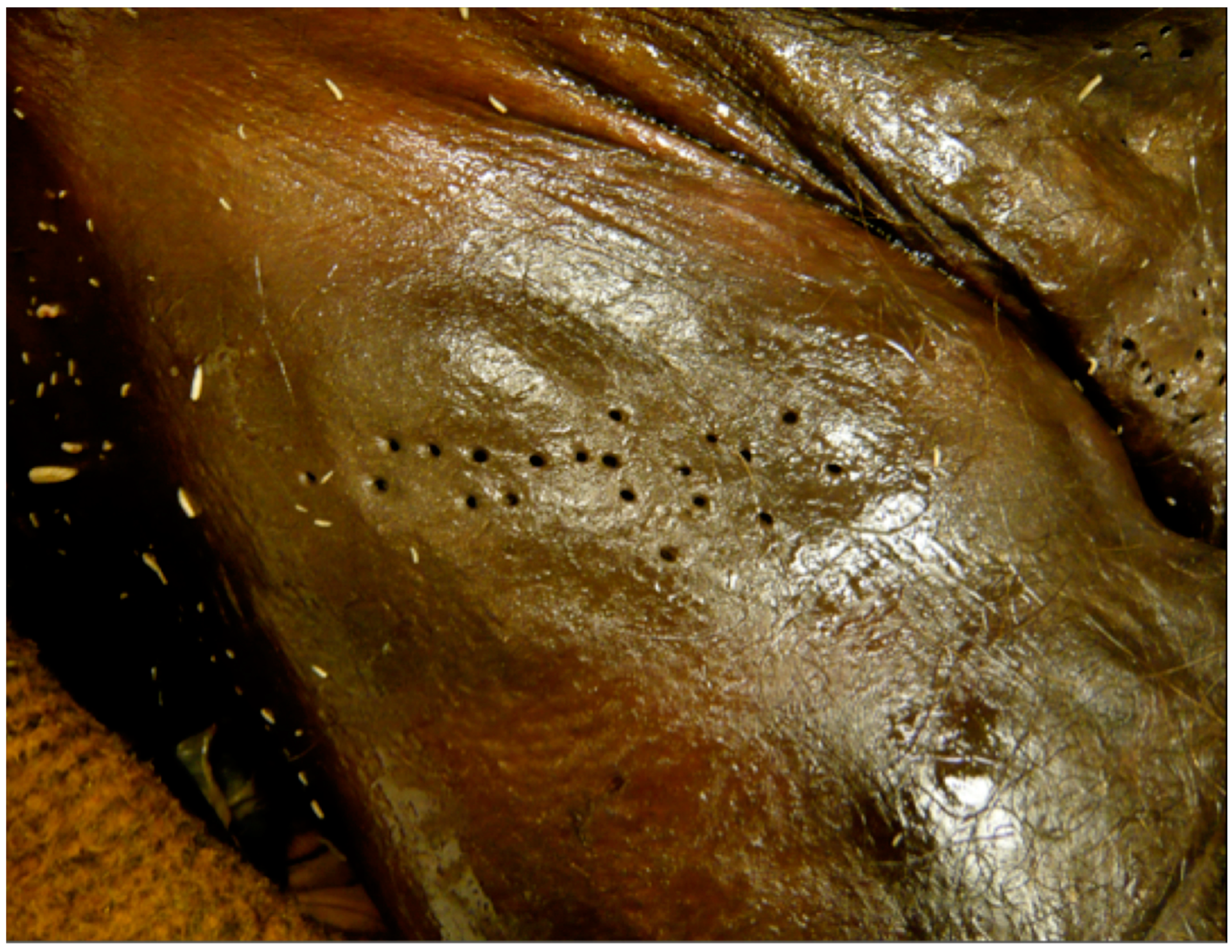 Forensicsci 02 00054 g009