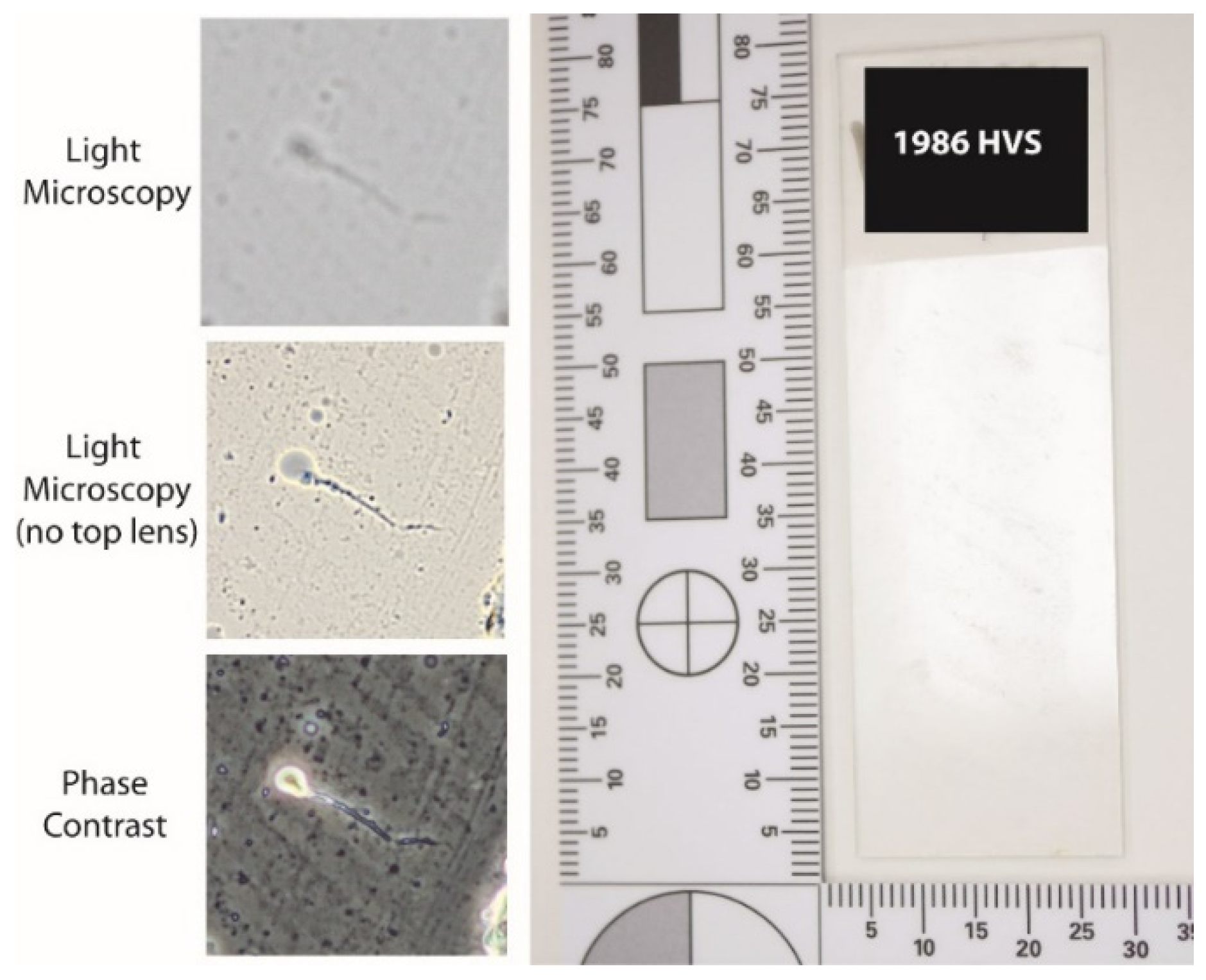Forensicsci 02 00057 g004 Forensicsci 02 00057 g004