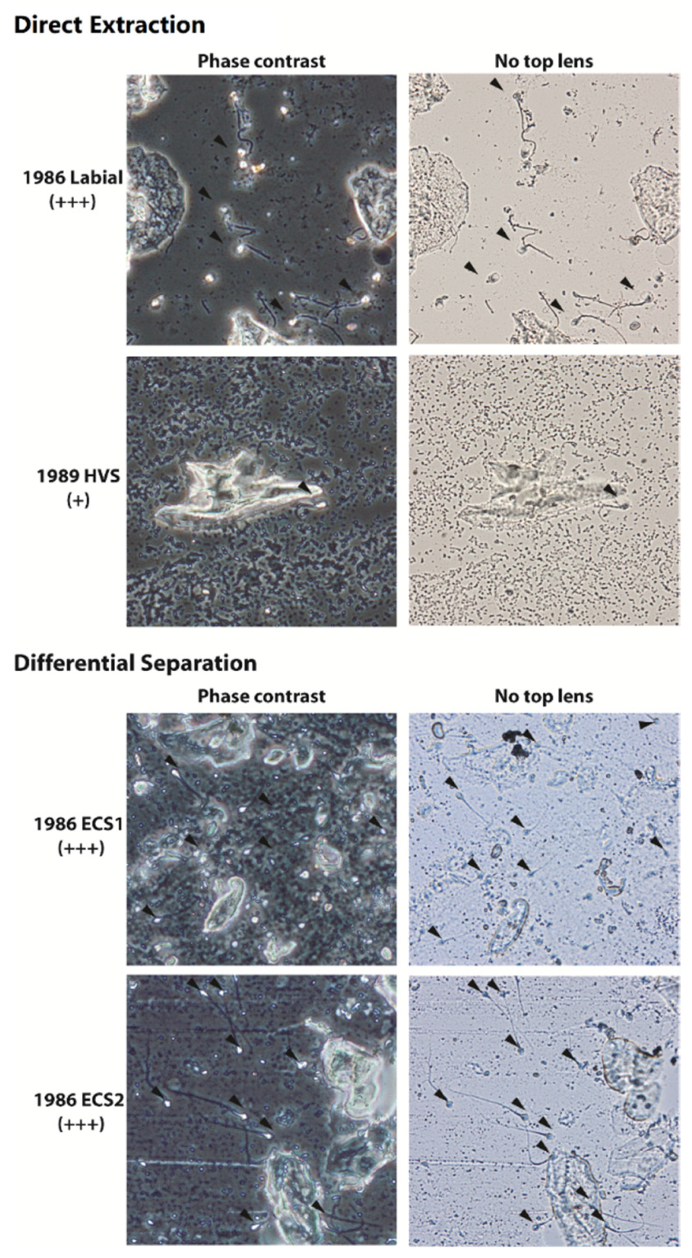 Forensicsci 02 00057 g005 Forensicsci 02 00057 g005