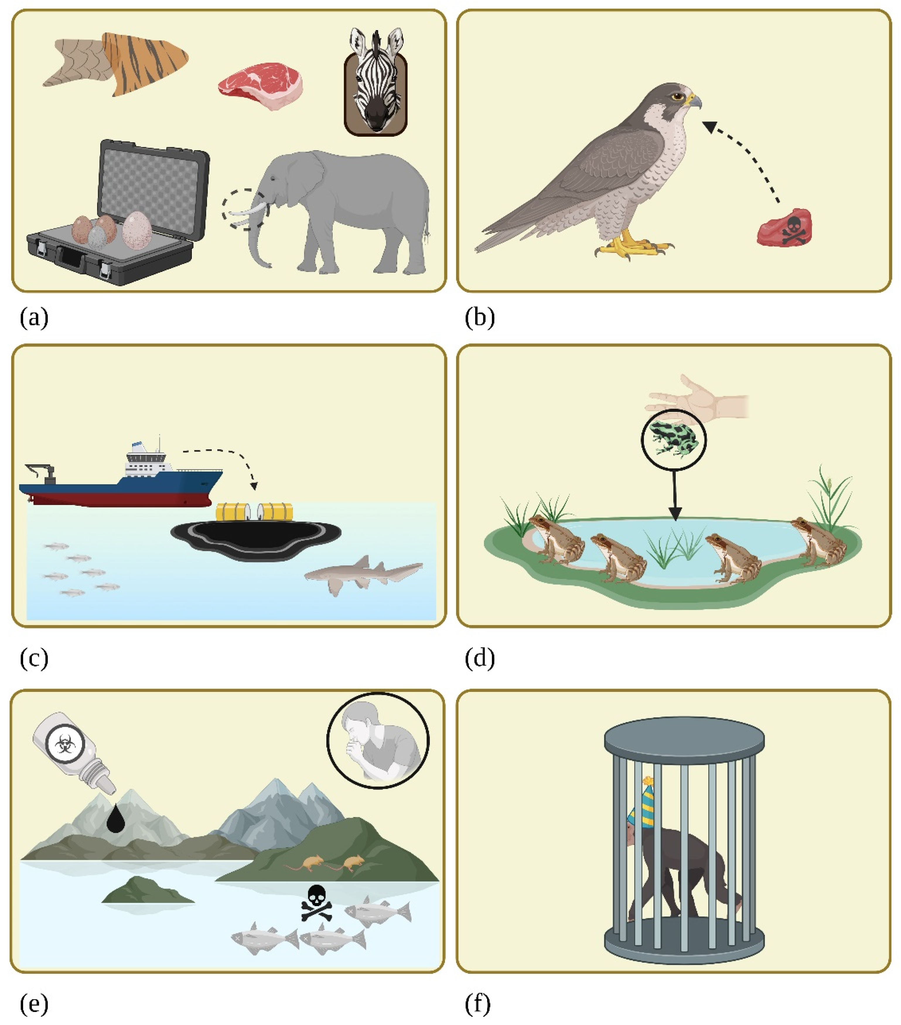Forensic Sciences Free FullText Wildlife Forensic Sciences A Tool Forensic Sciences Free FullText Wildlife Forensic Sciences A Tool