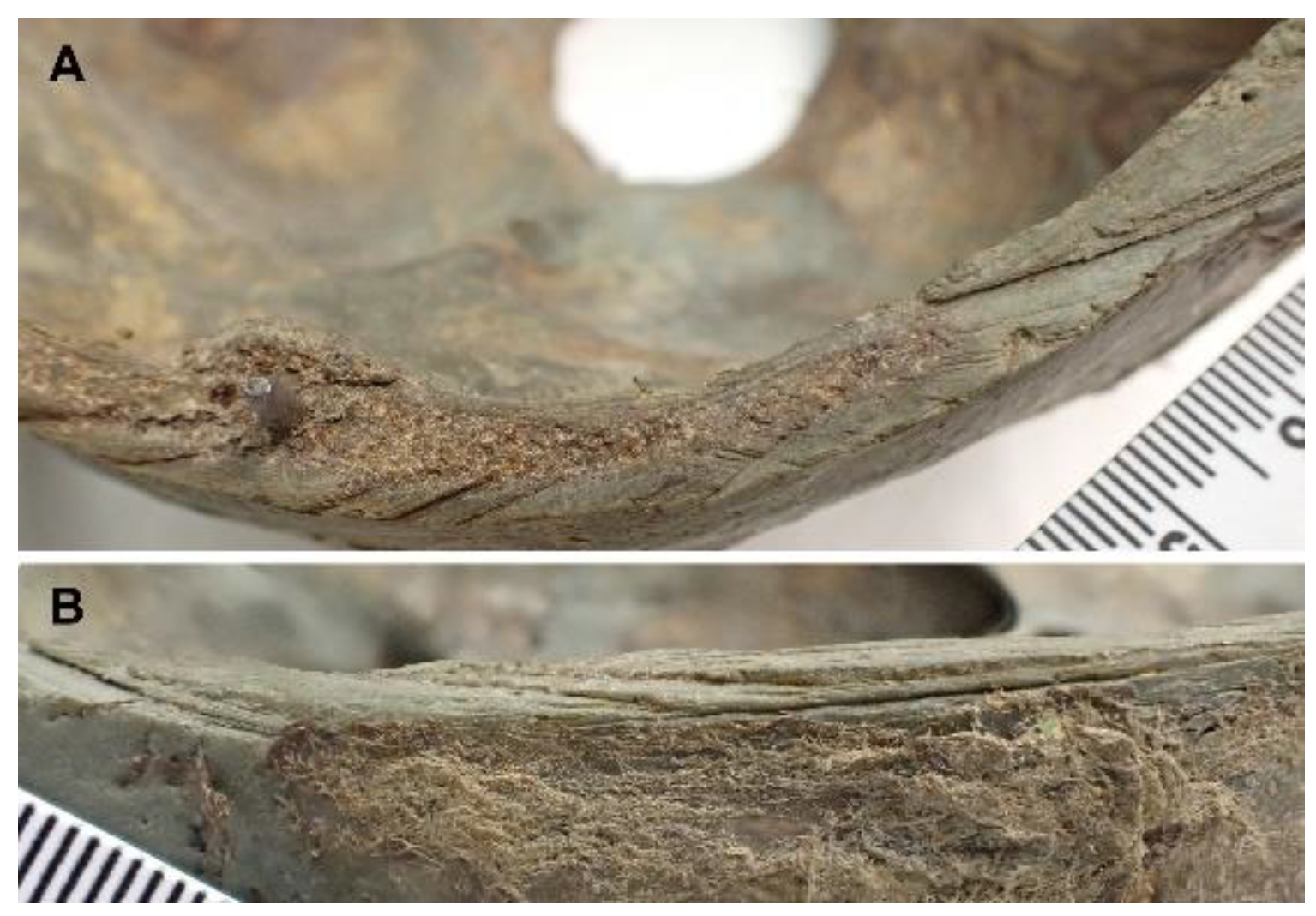 Forensicsci 03 00018 g003