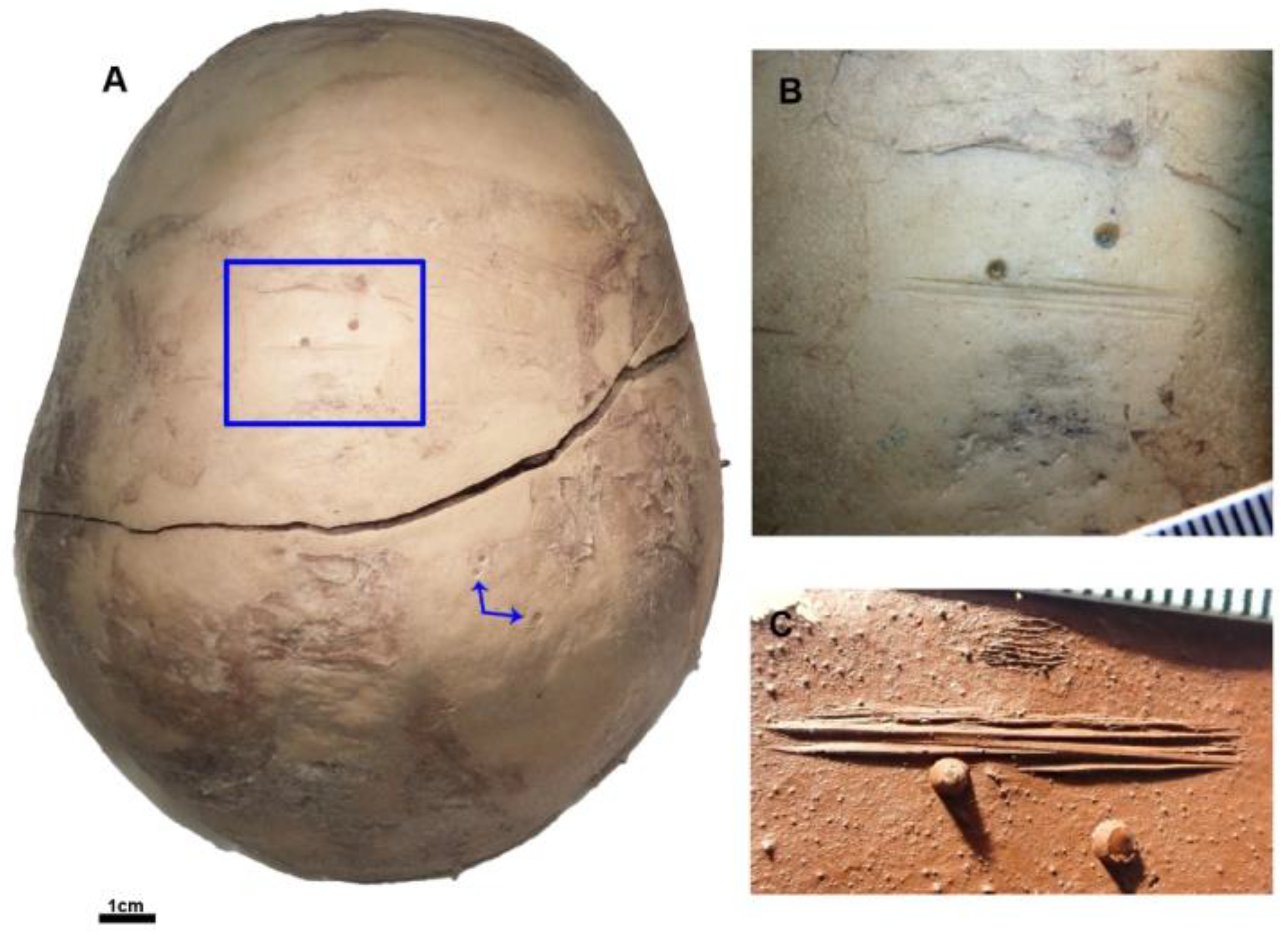 Forensicsci 03 00018 g006