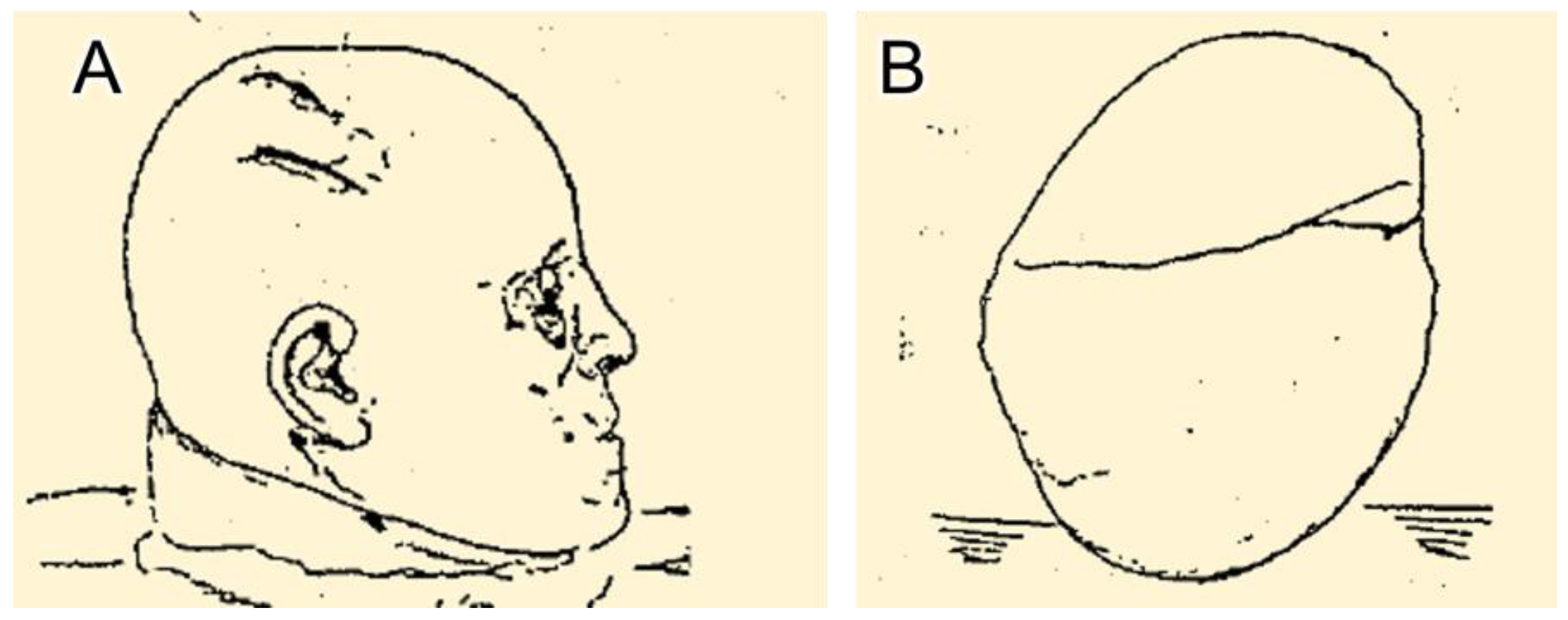 Forensicsci 03 00018 g008