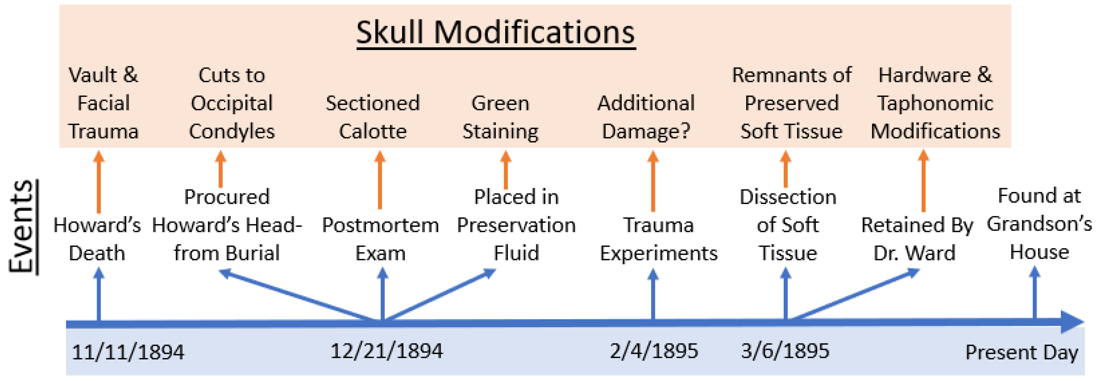 Forensicsci 03 00018 g010