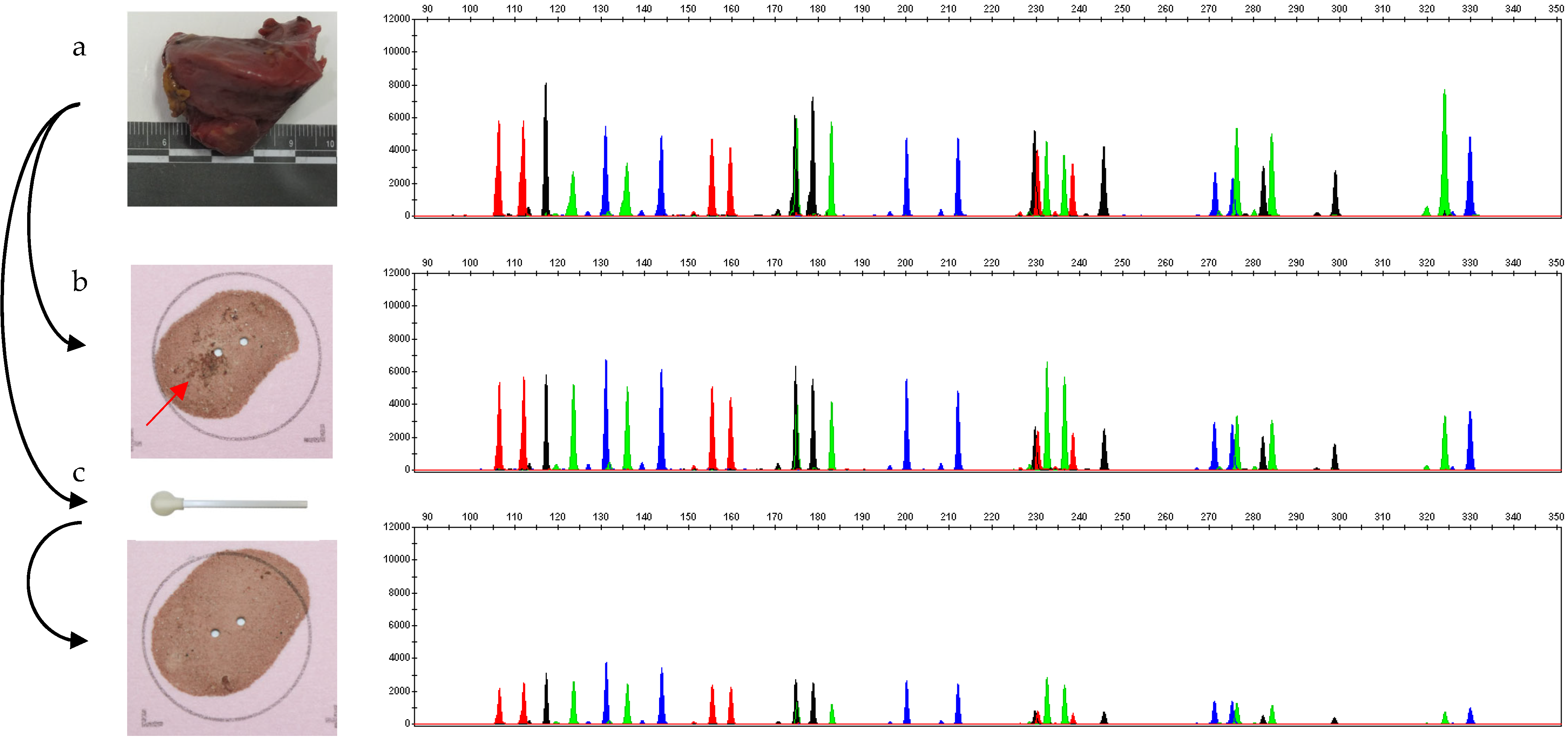 Forensicsci 03 00024 g001 Forensicsci 03 00024 g001