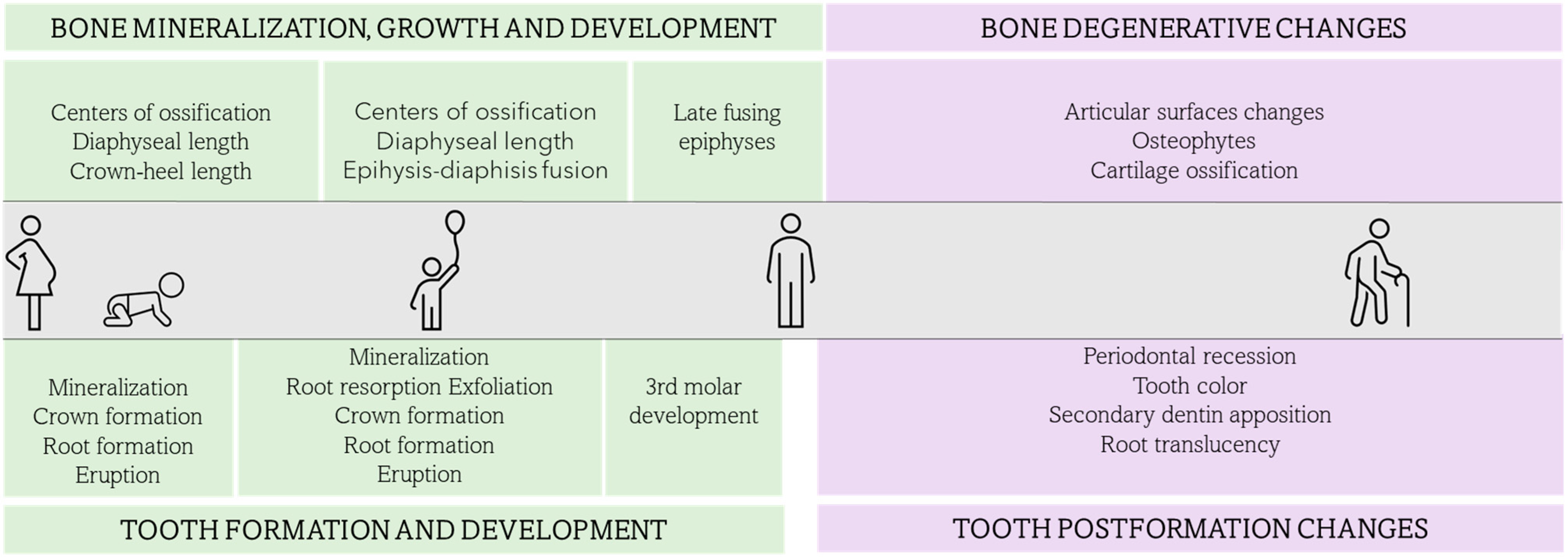Forensicsci 03 00027 g001 Forensicsci 03 00027 g001