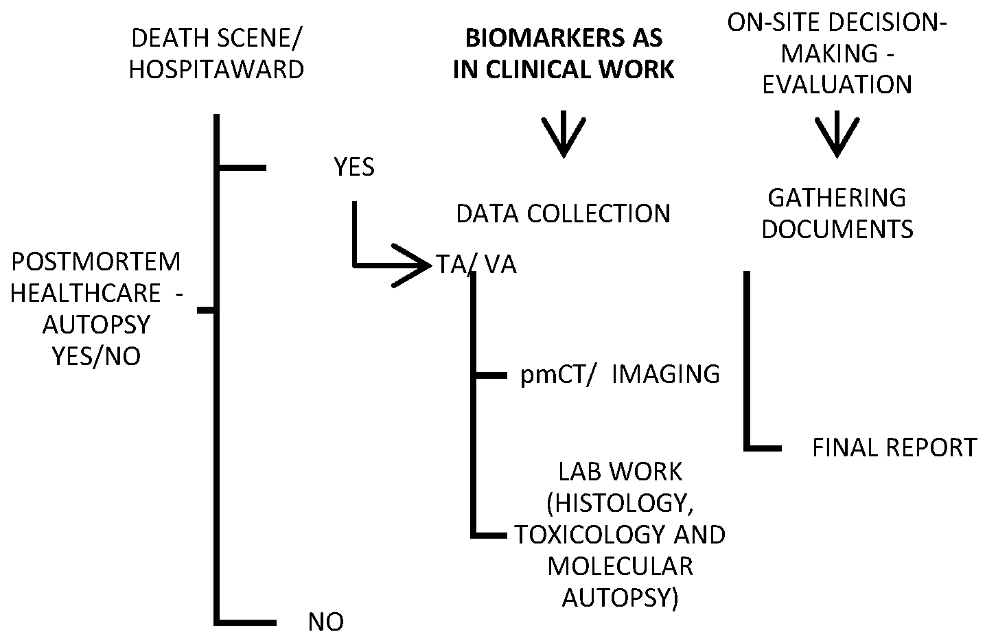 Forensicsci 03 00028 g002 Forensicsci 03 00028 g002