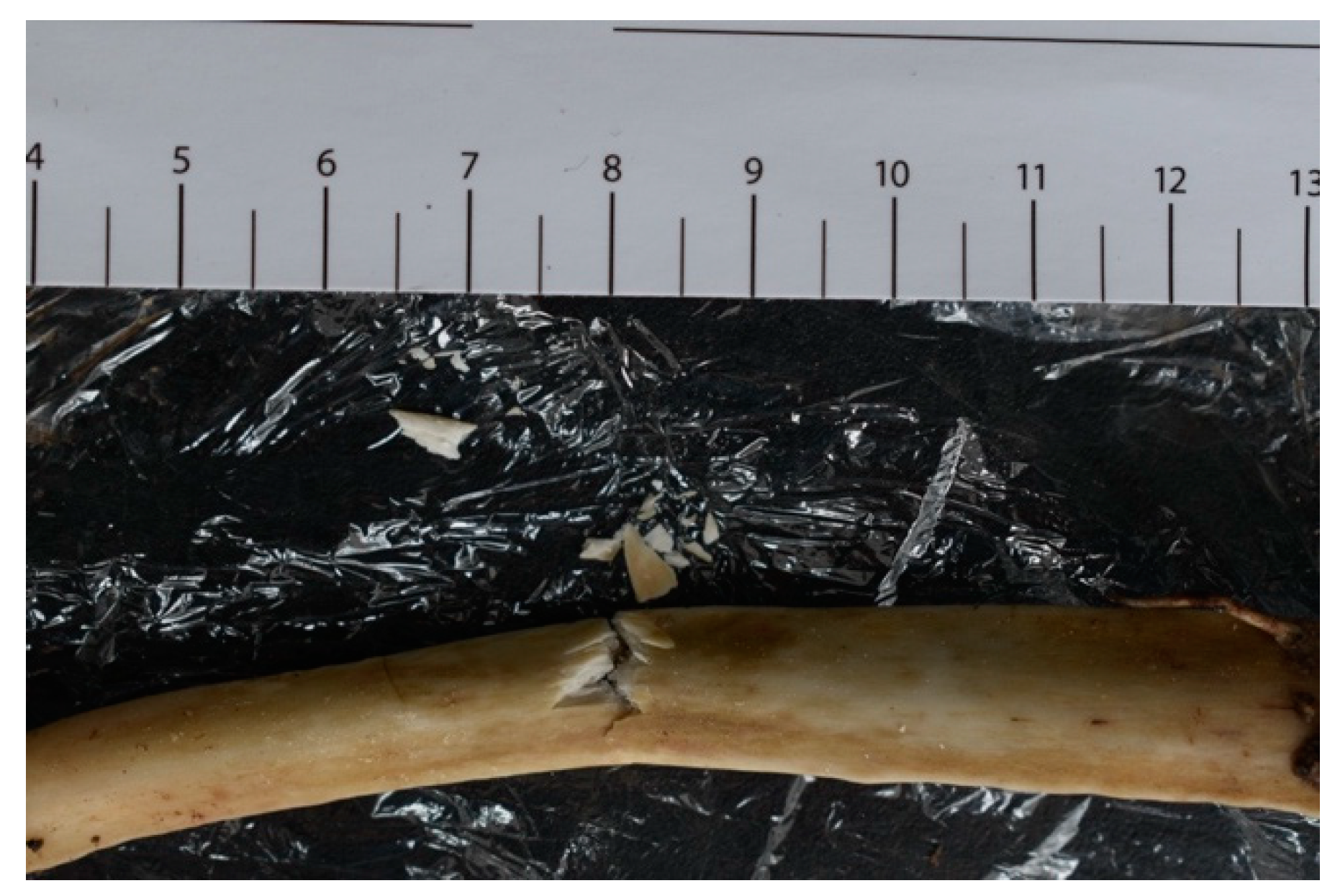 Forensicsci 03 00034 g001